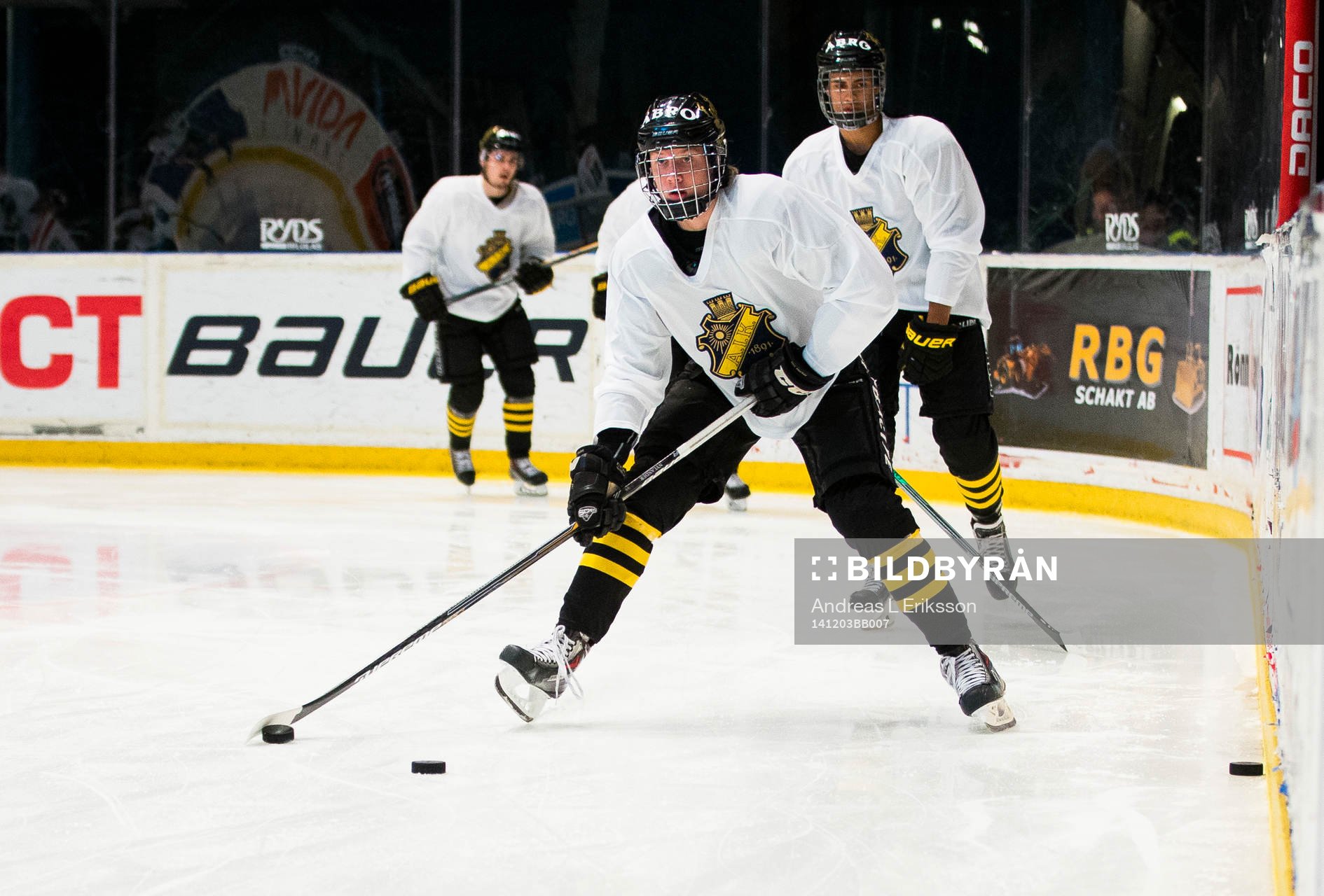 s Alexander Nylander Altelius