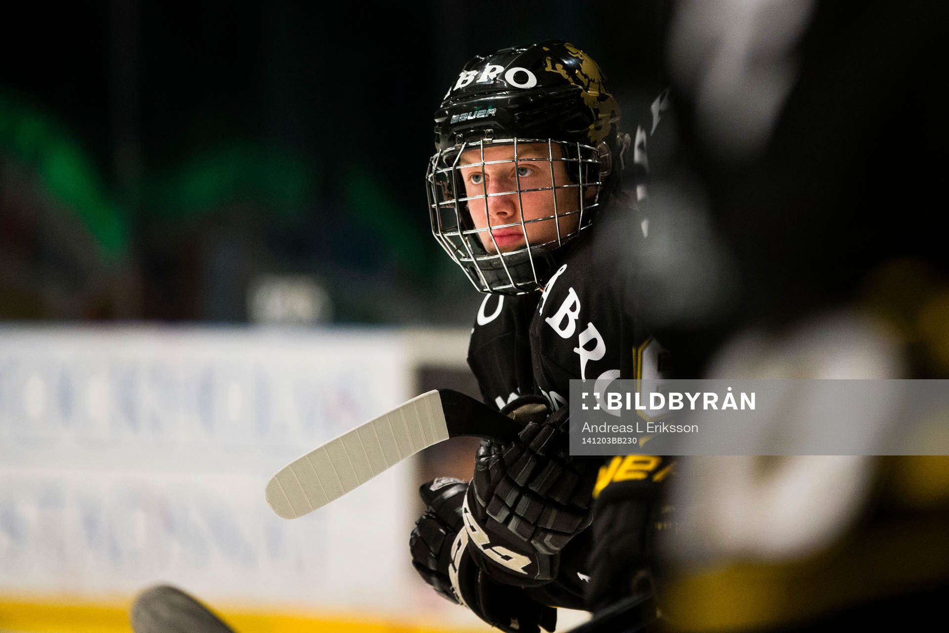 s Alexander Altelius Nylander