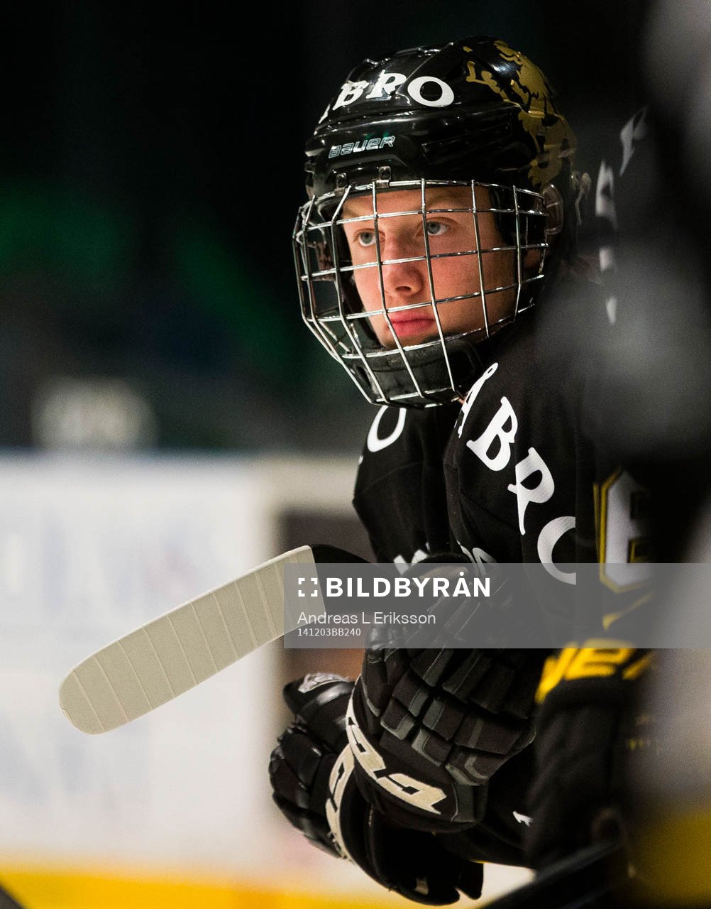 s Alexander Altelius Nylander