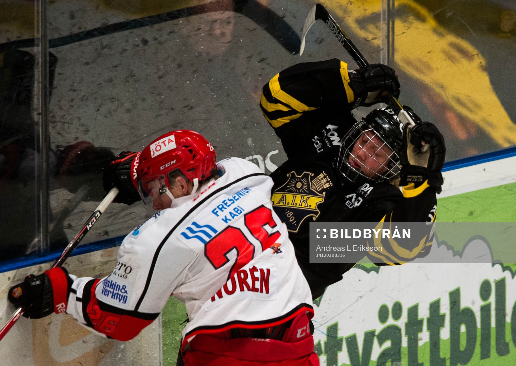 s Alexander Altelius Nylander