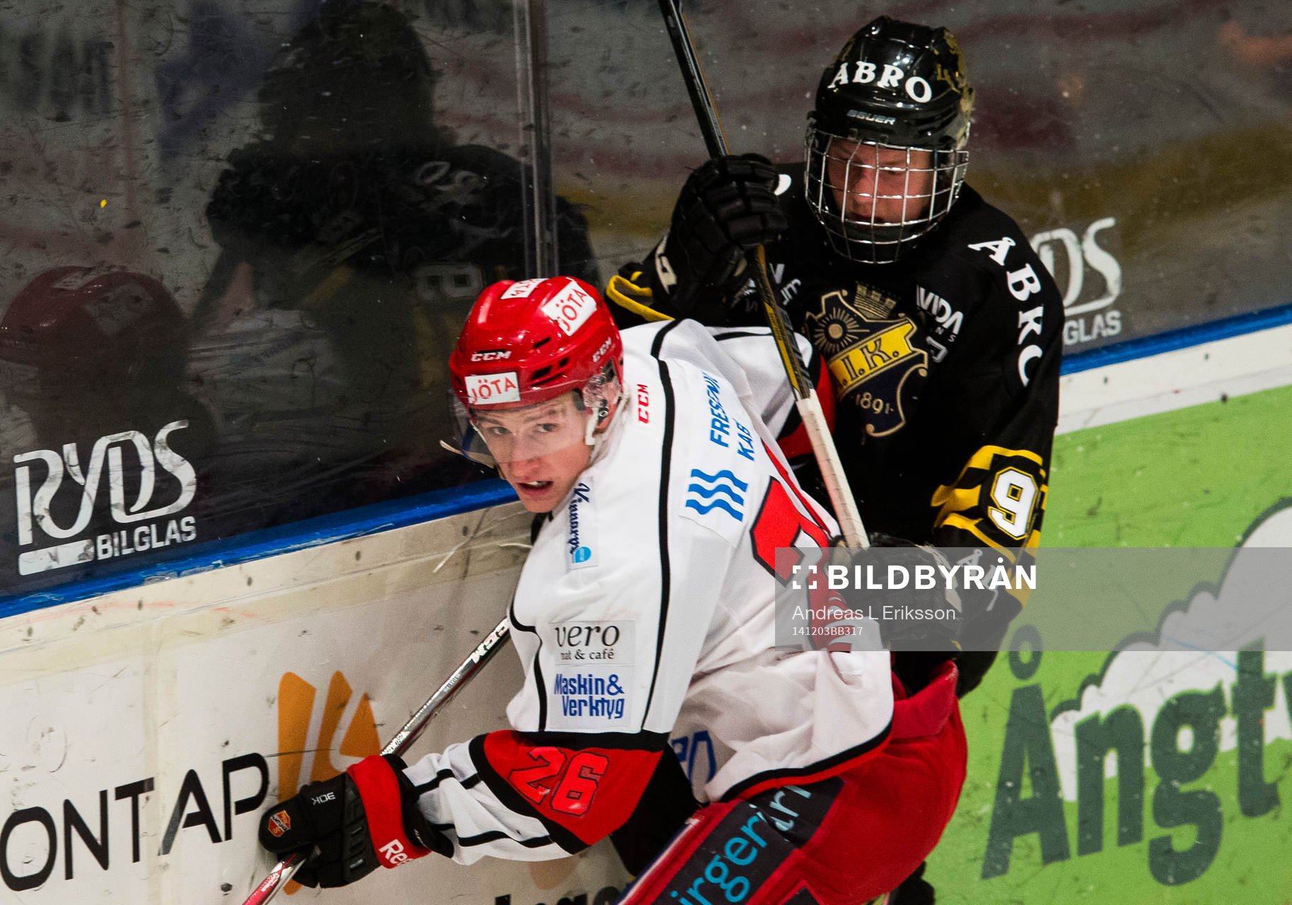 s Alexander Altelius Nylander