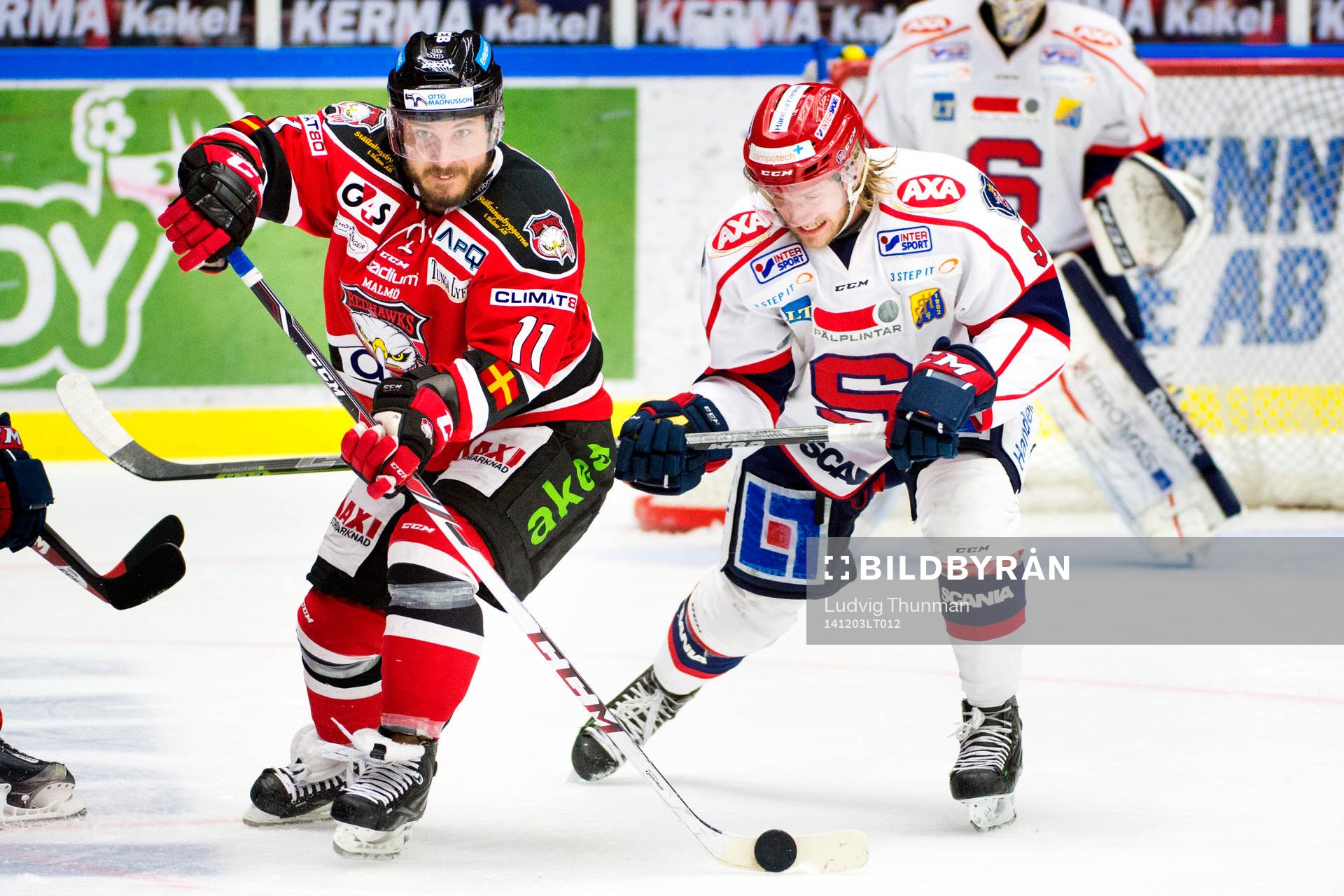 Malmö Redhawks Joey Tenute