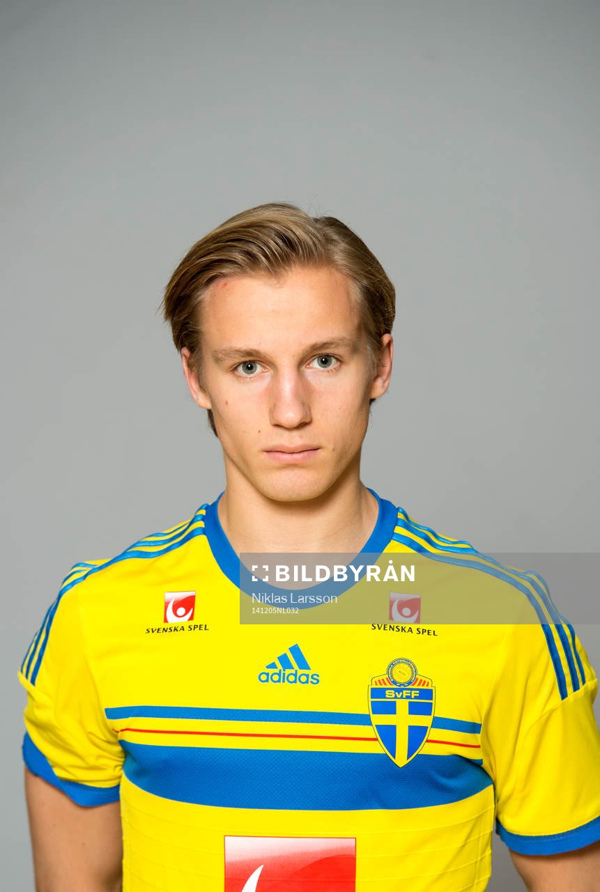 Daniel Stensson, Sverige under en porträttfotografering den 28 november 2014 i Stockholm.
