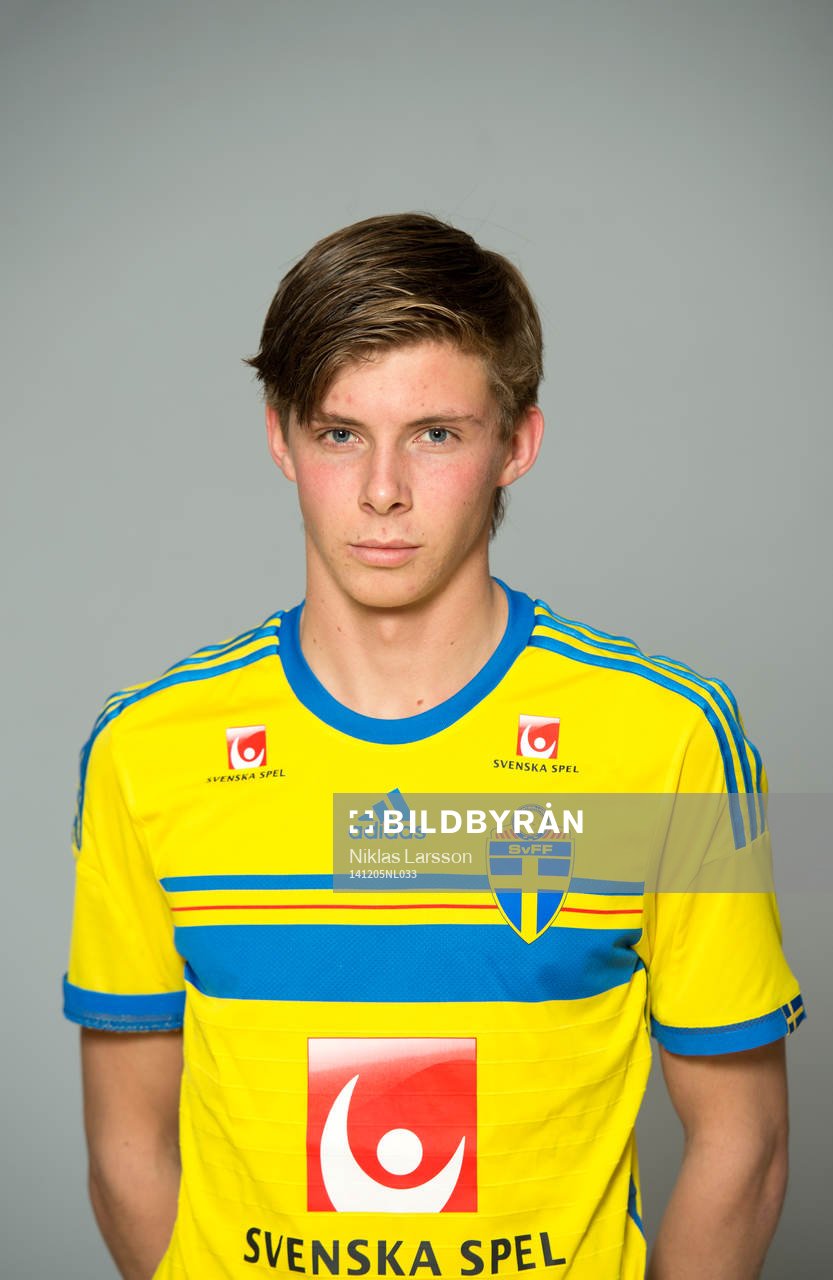 Emil Ursholm, Sverige under en porträttfotografering den 28 november 2014 i Stockholm.