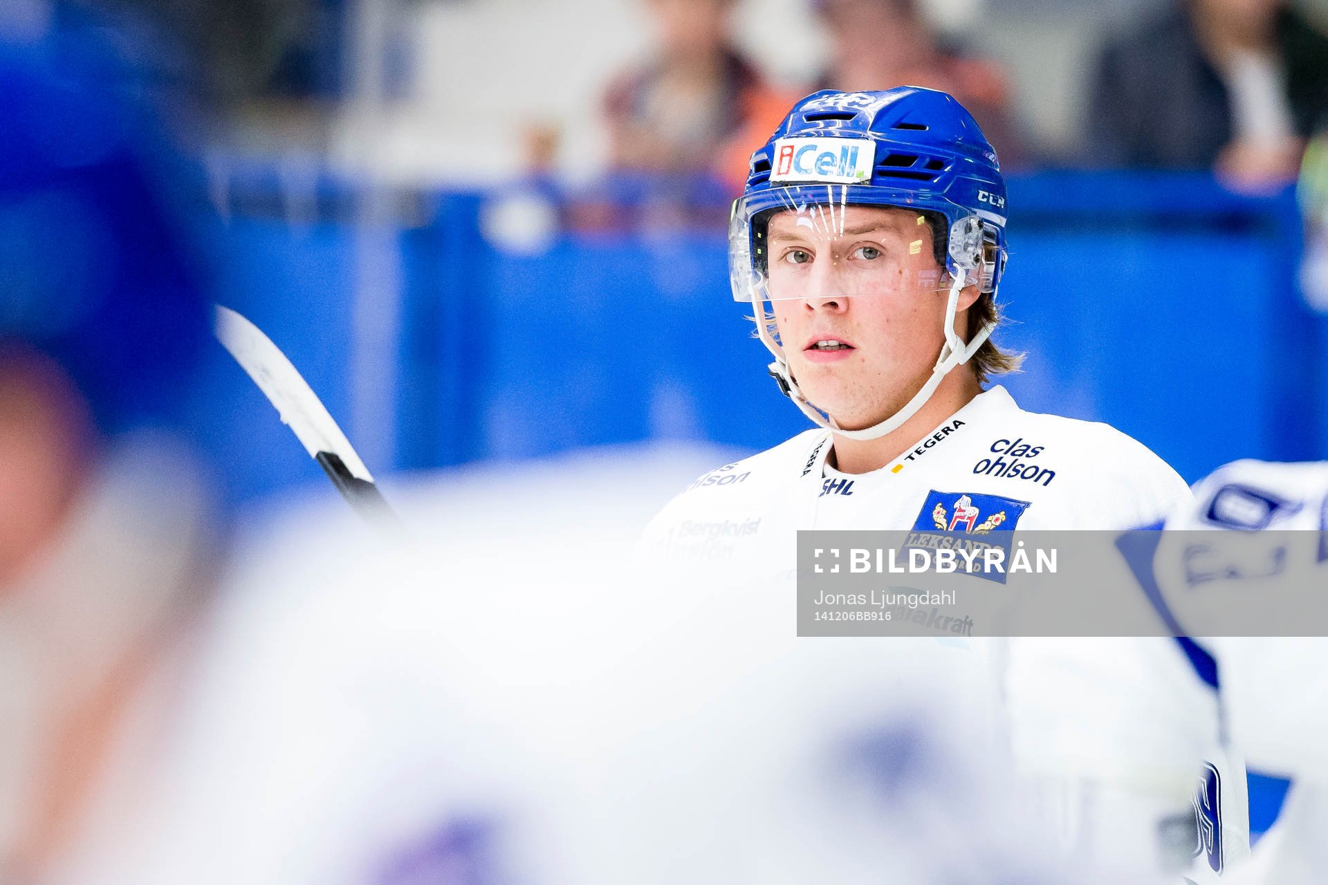 Leksands David Åslin