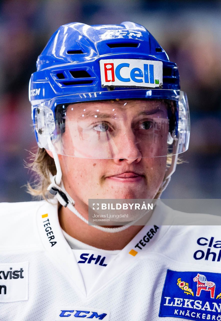 Leksands David Åslin