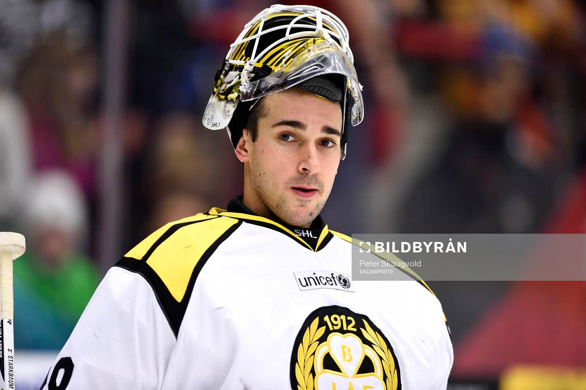Brynäs målvakt Bernhard Starkbaum