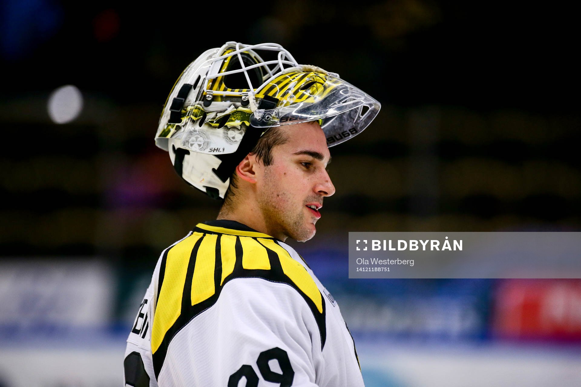 Brynäs målvakt Bernhard Starkbaum