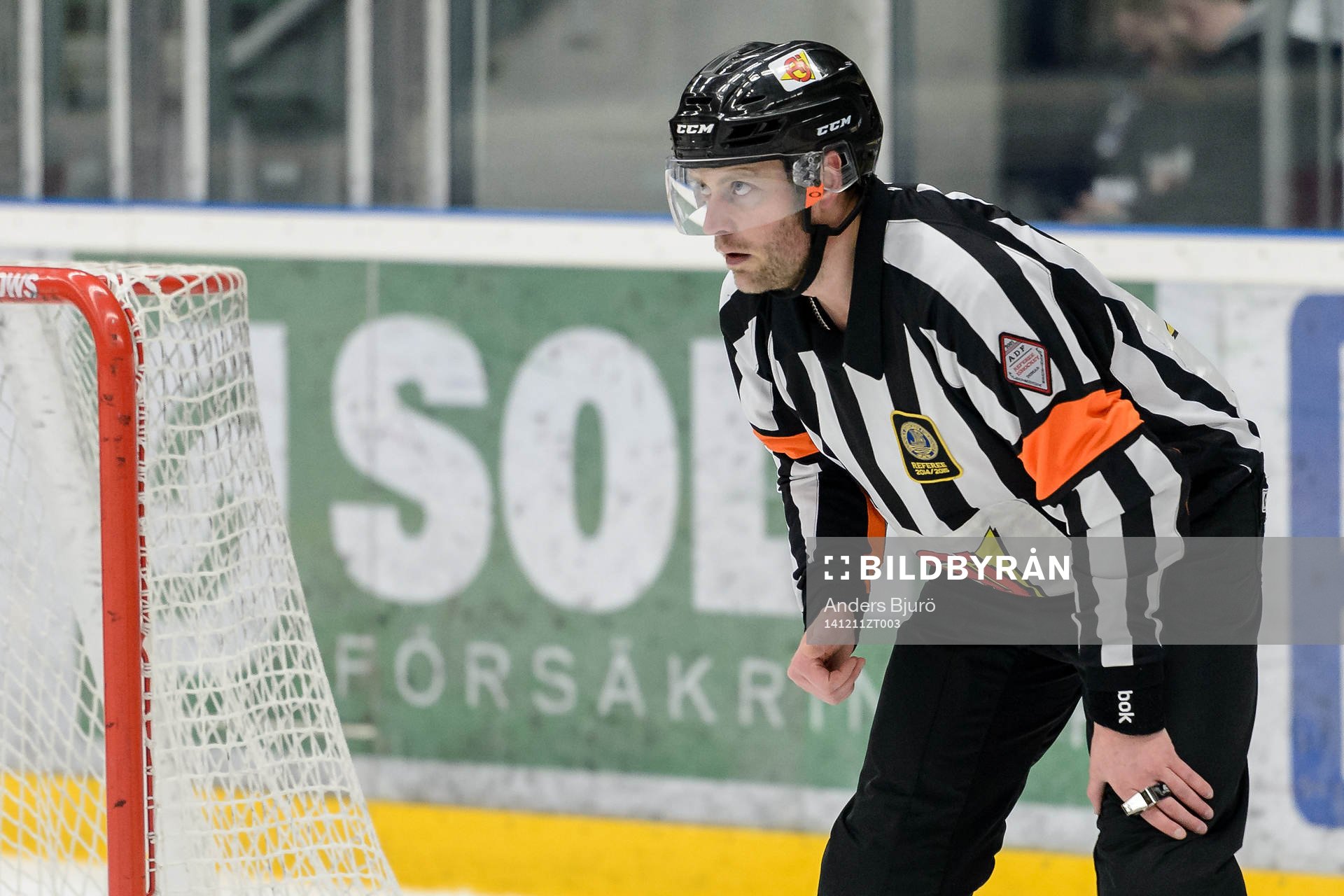 Domare Robin Karlsson