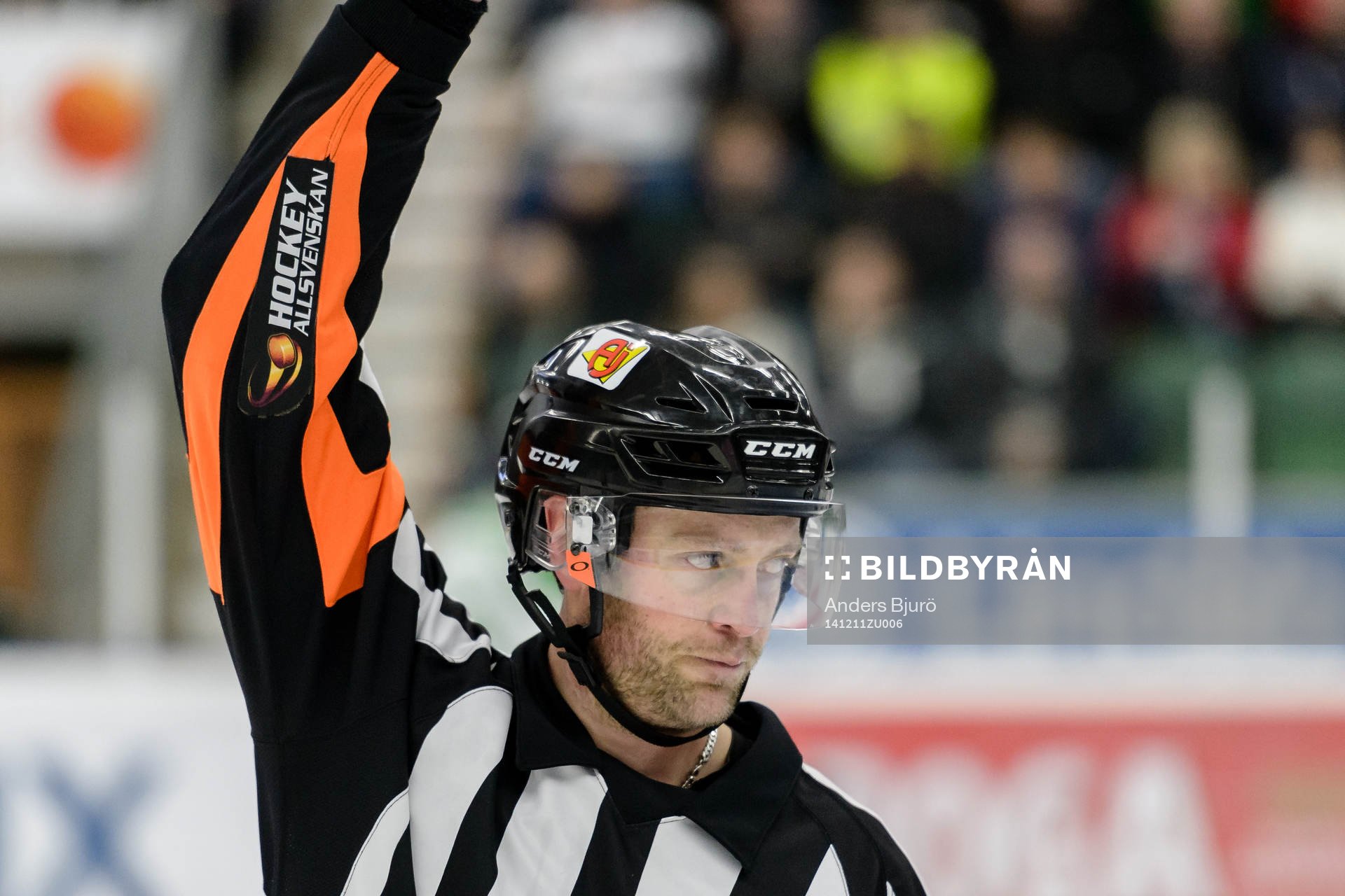 Domare Robin Karlsson
