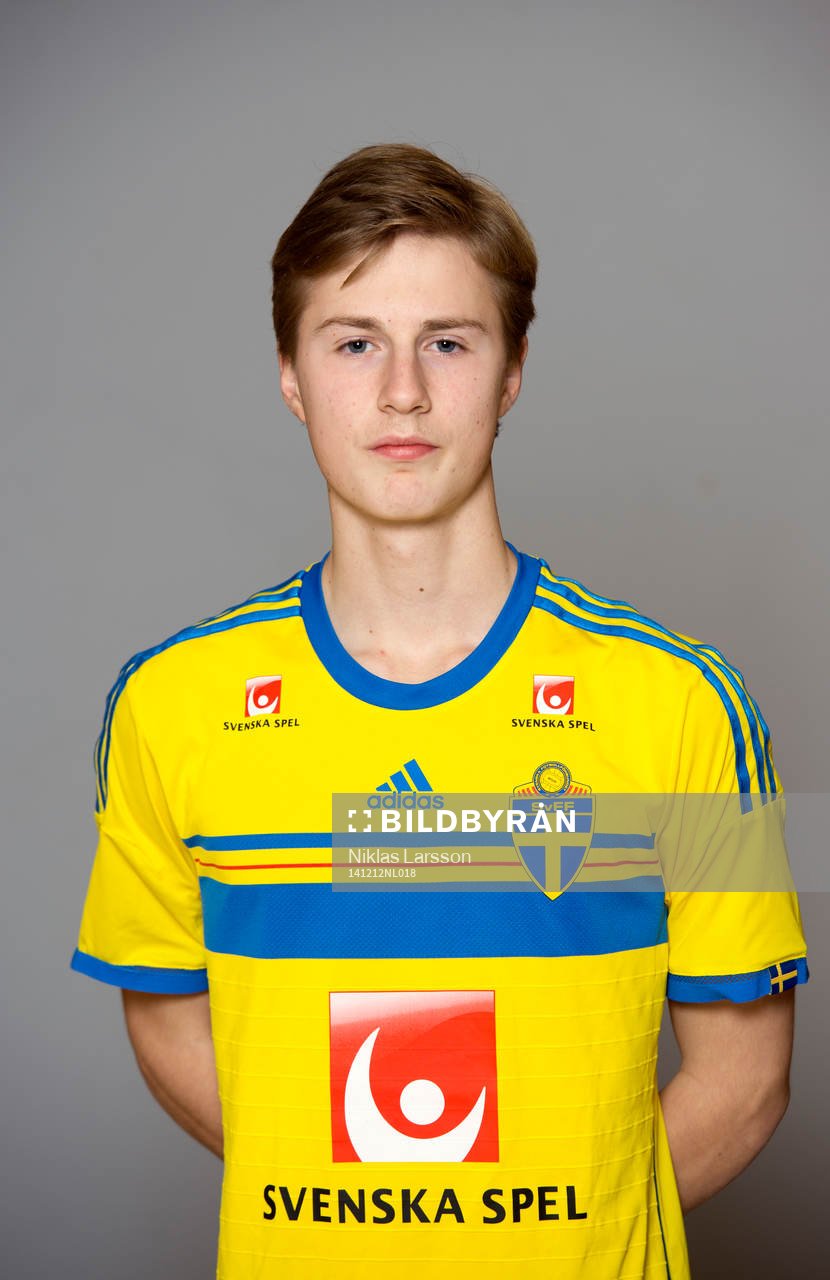 Niklas Shwenkér Fröjdholm, Sverige