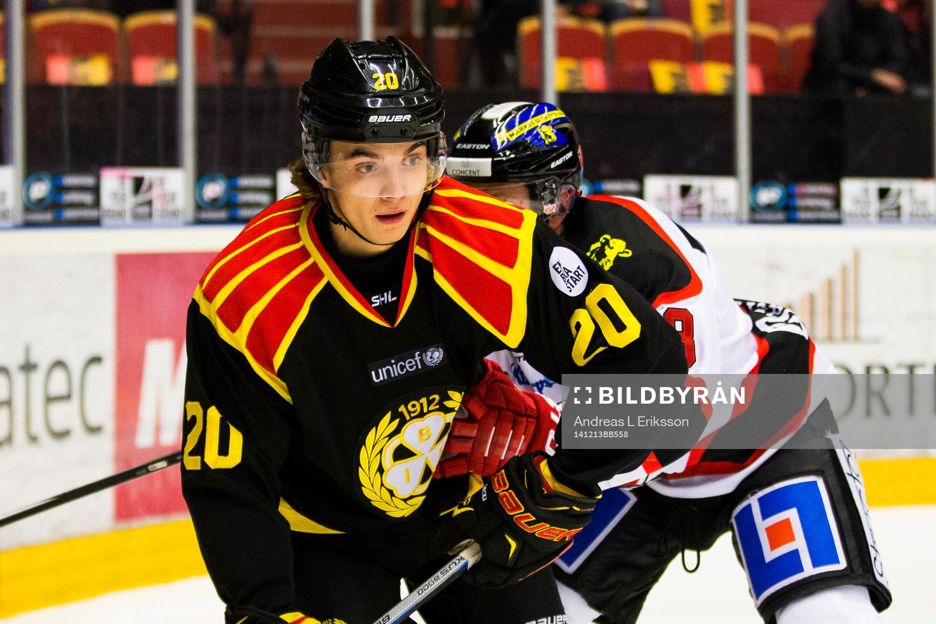 Brynäs Adam Brodecki