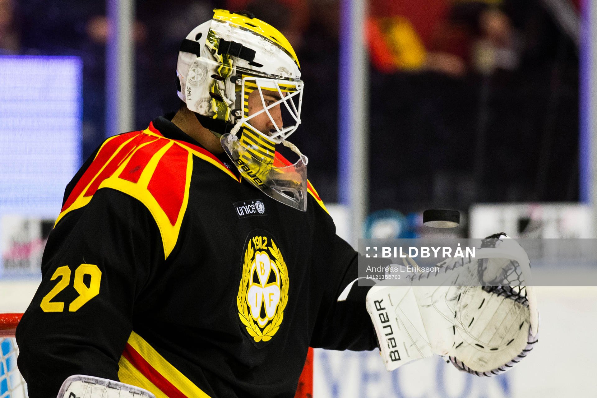 Brynäs målvakt Bernhard Starkbaum