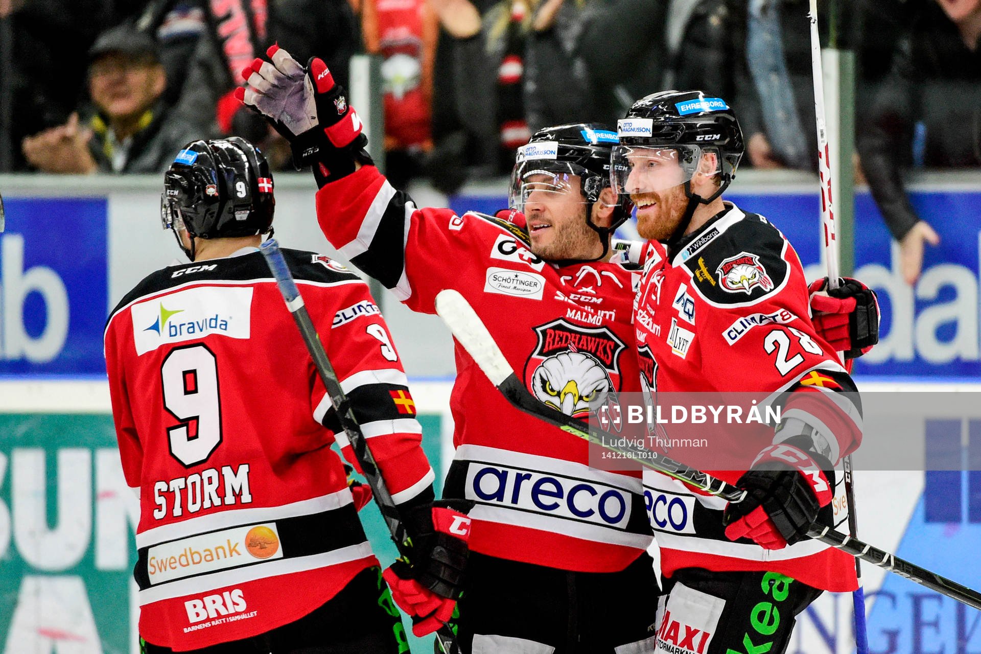 Malmö Redhawks Joey Tenute jublar