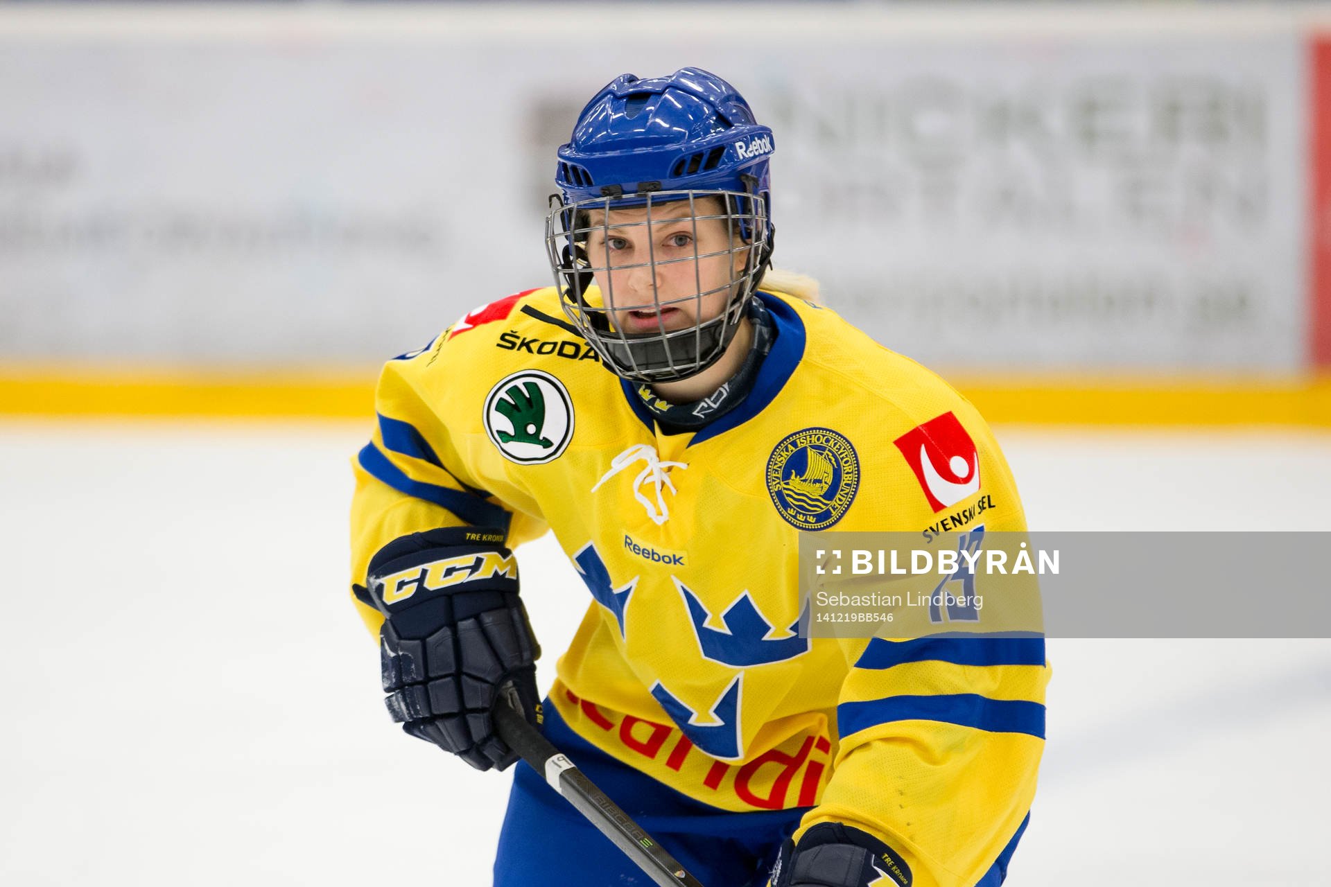 Sveriges Alexandra Palm