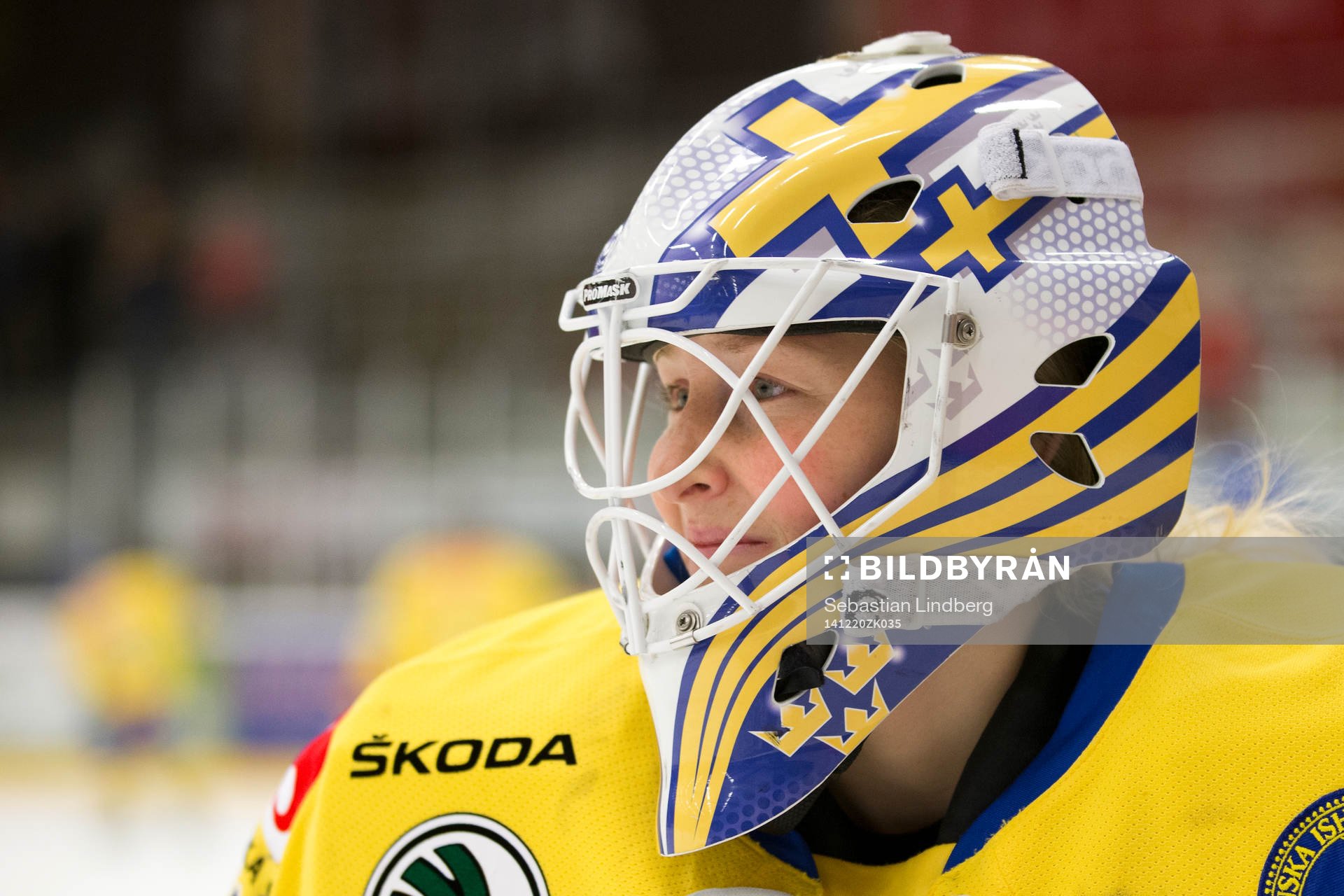 Sveriges målvakt Kim Martin Hasson
