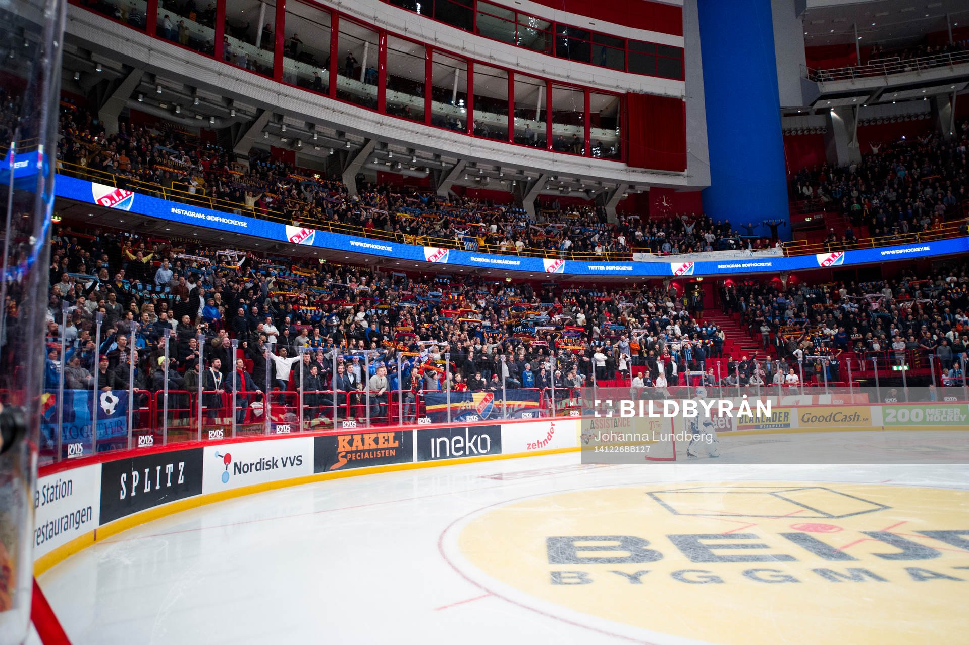 Djurgårdens supportrar