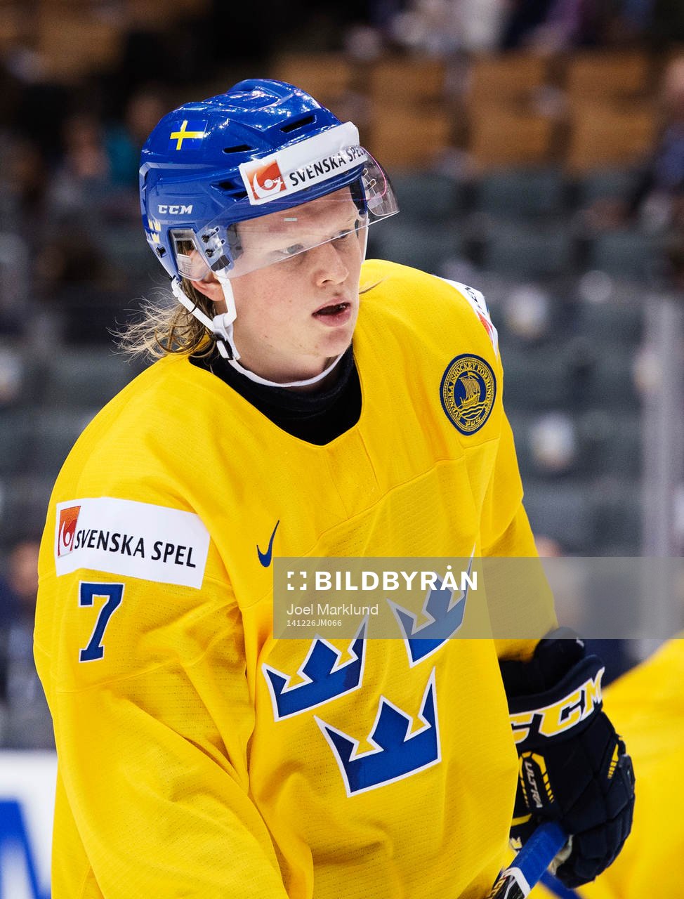 Sveriges Julius Bergman