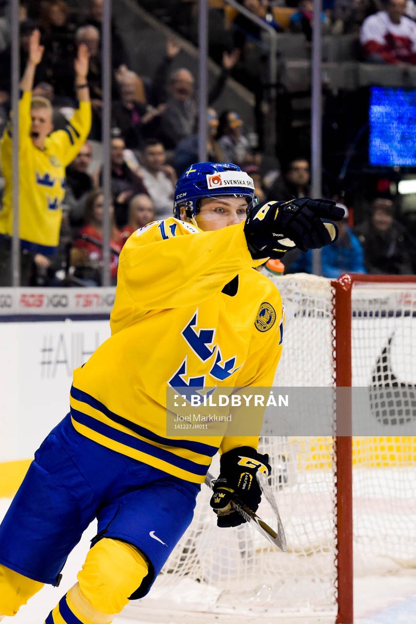Sveriges Anton Blidh jublar