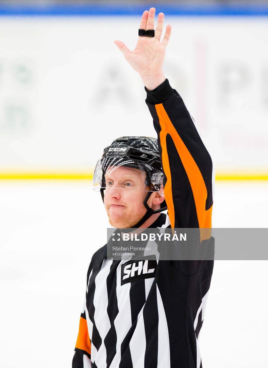 Domare Mikael Holm