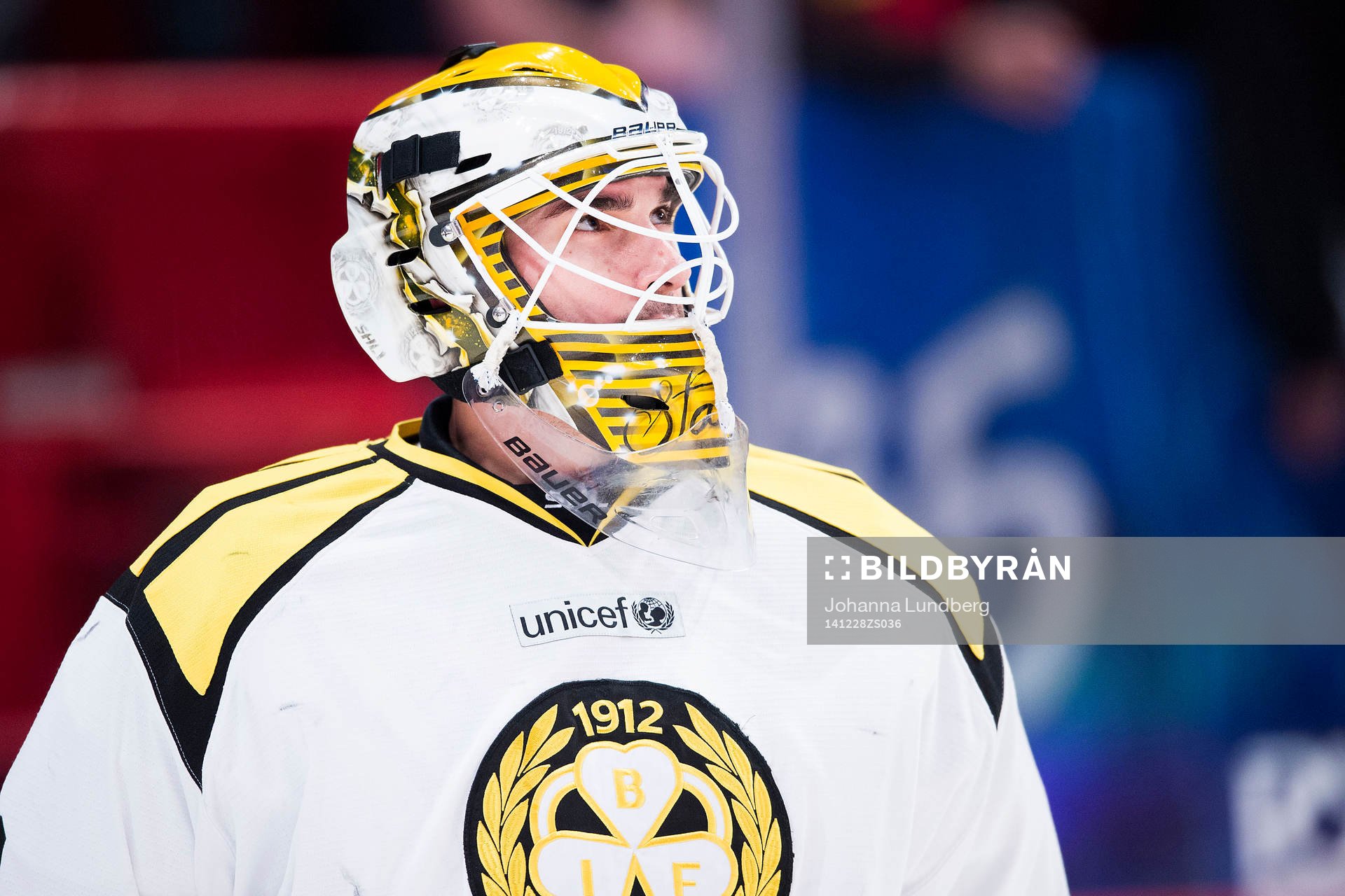 Brynäs målvakt Bernhard Starkbaum