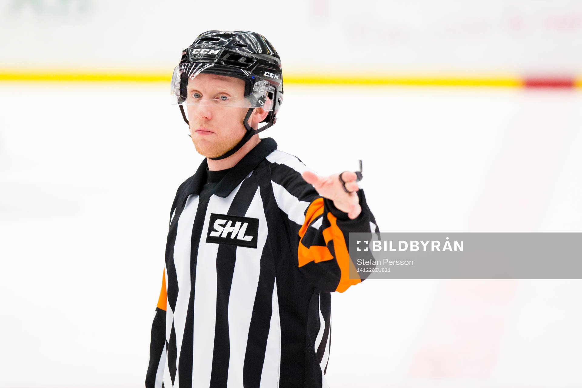 Domare Mikael Holm