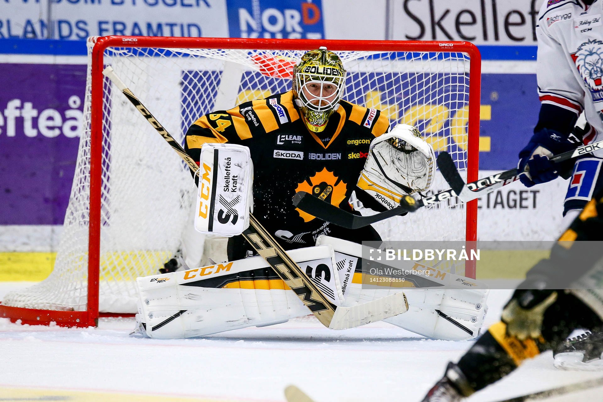 Skellefteås målvakt Erik Hanses