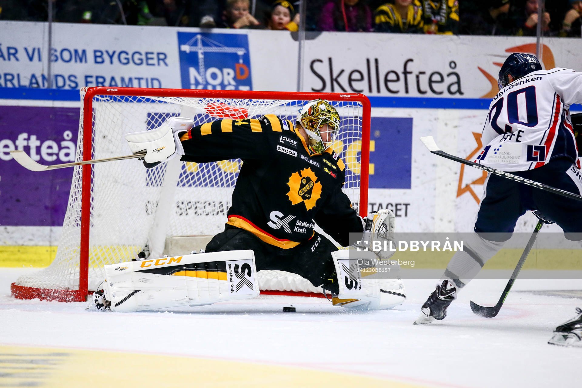 Skellefteås målvakt Erik Hanses släpper in ett mål av