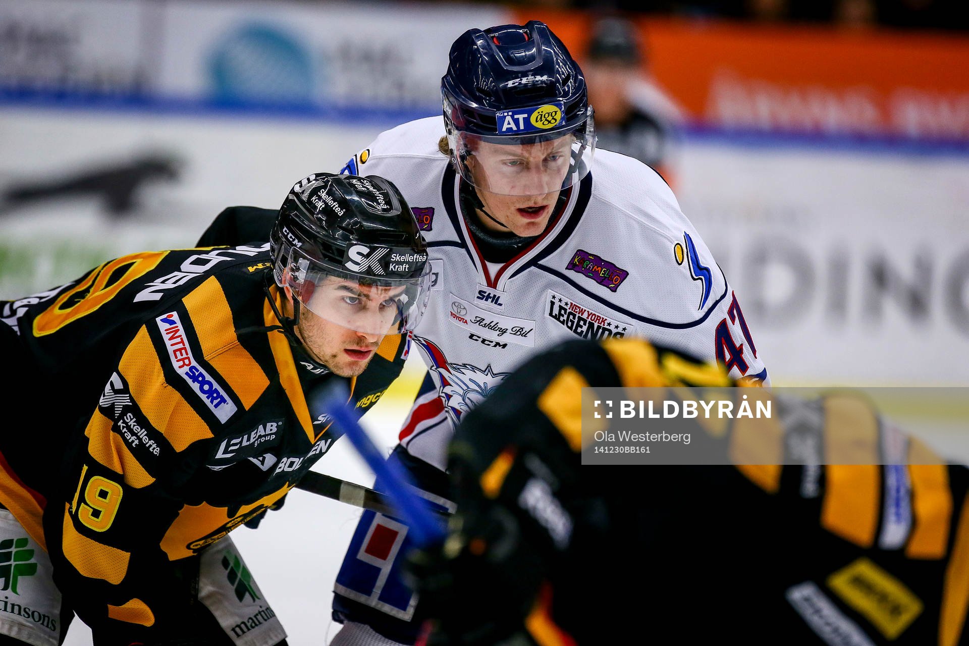 Skellefteås Andrew Calof