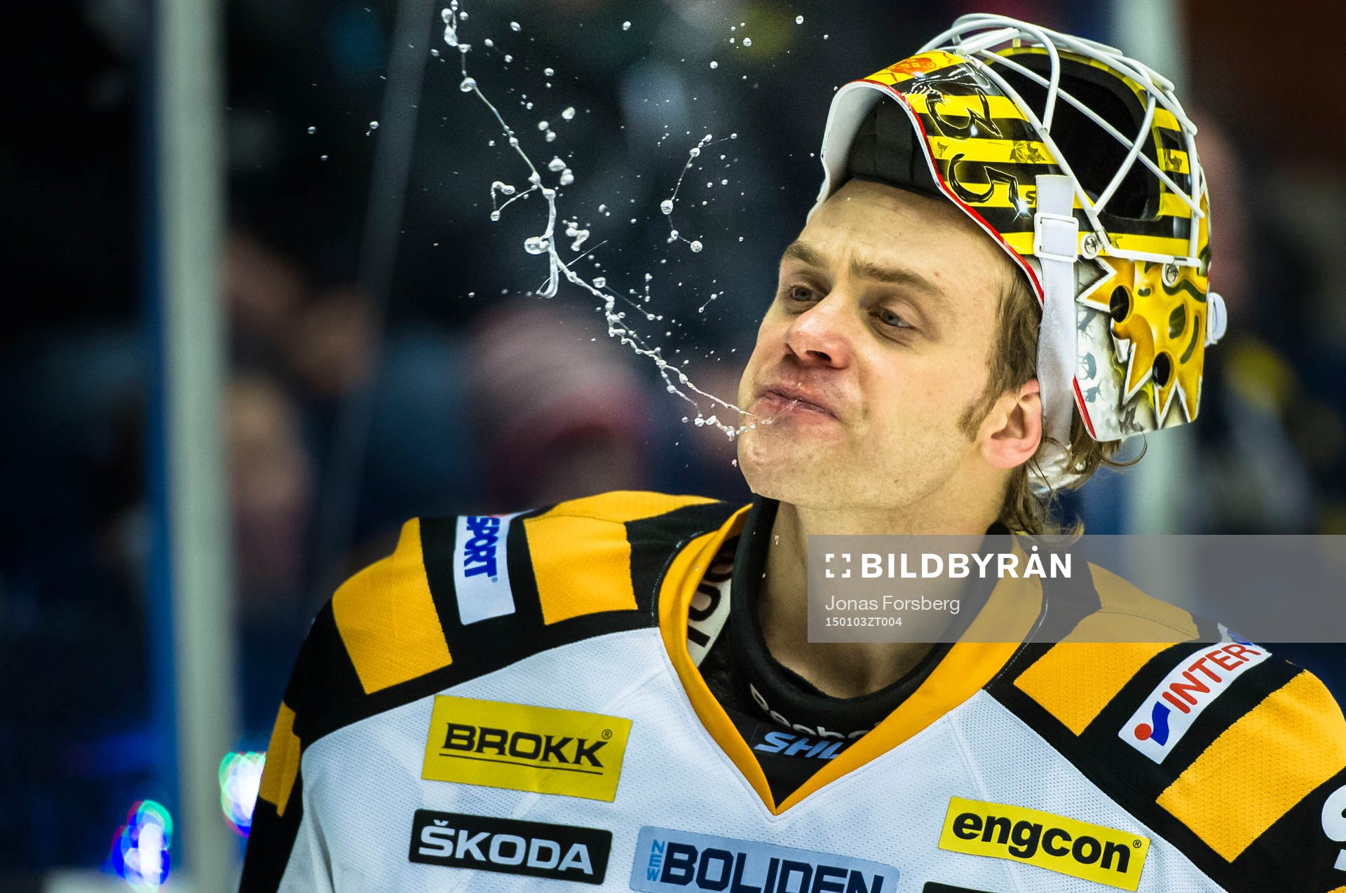 Skellefteås målvakt Markus Svensson