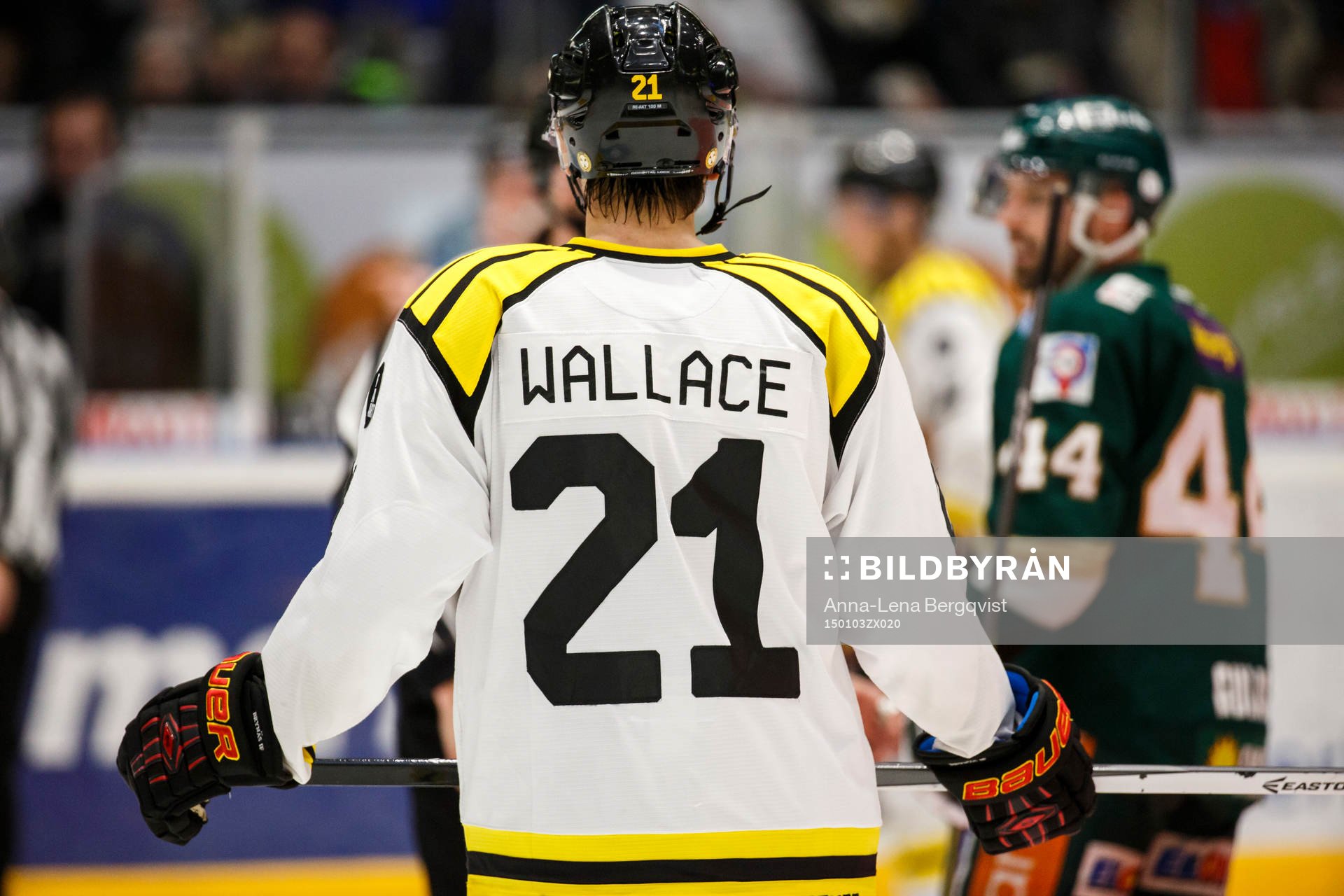 Brynäs Tim Wallaces ryggtavla