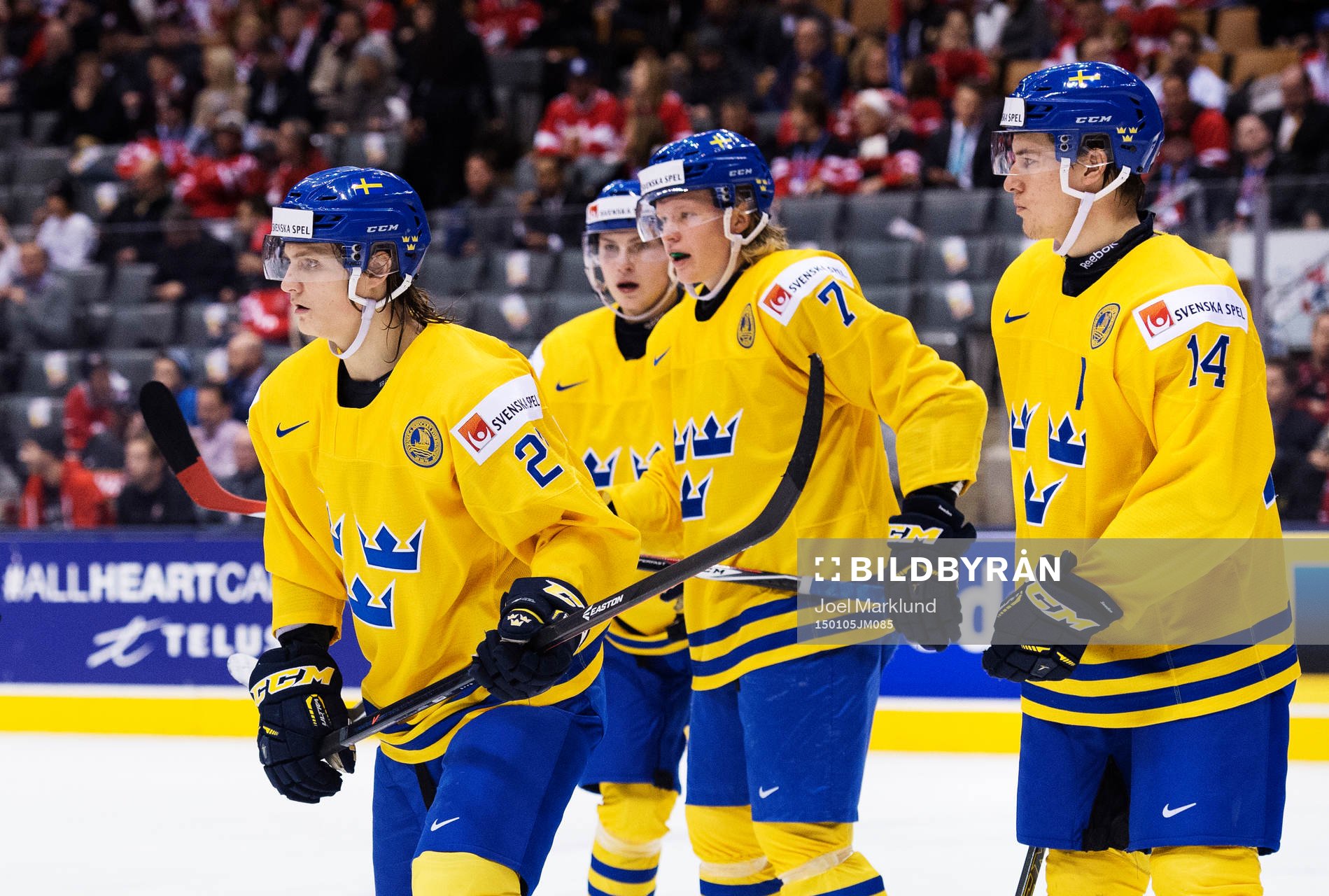 Sveriges Anton Karlsson, Anton Blidh, Julius Bergman och
