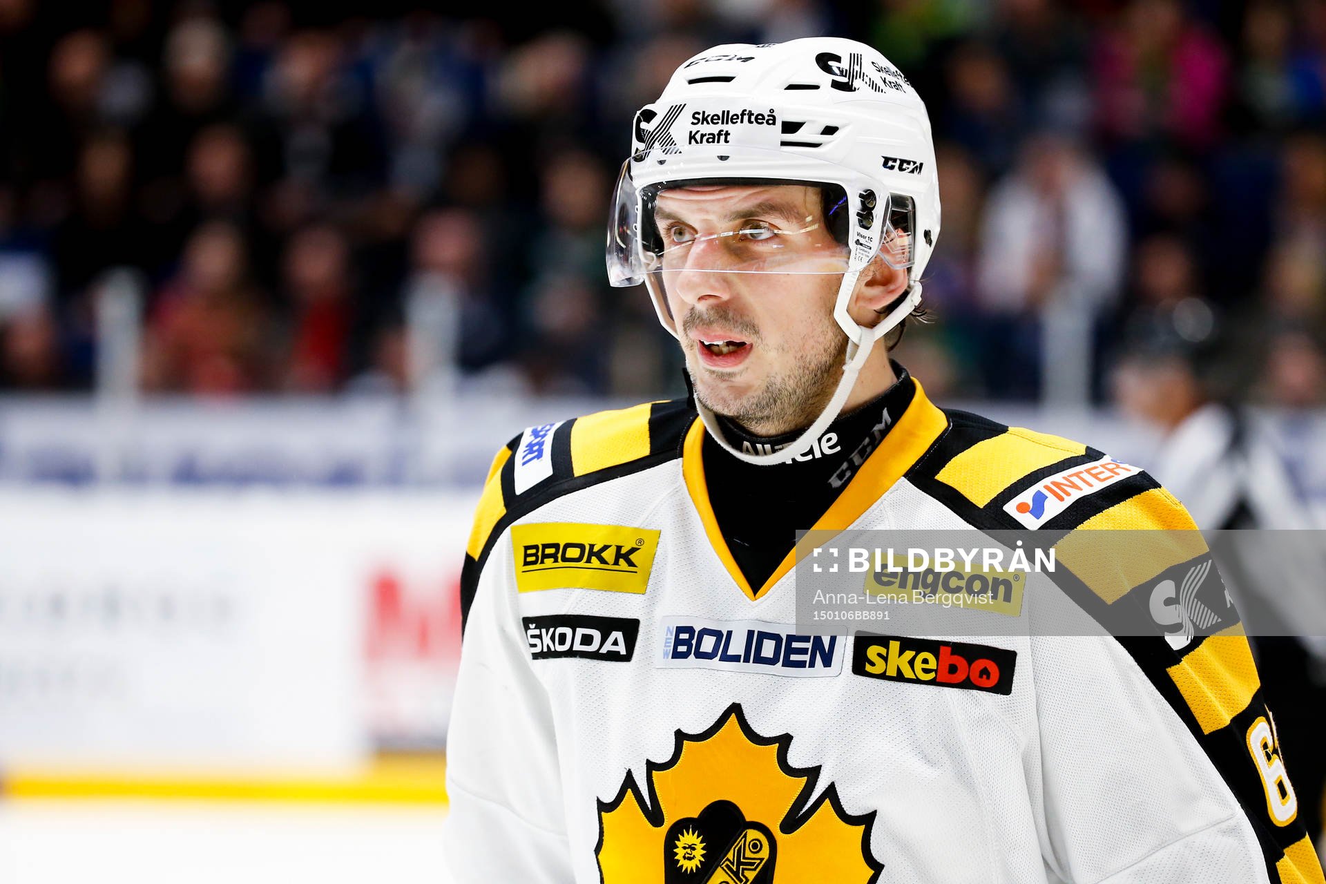 Skellefteås Fredrik Lindgren