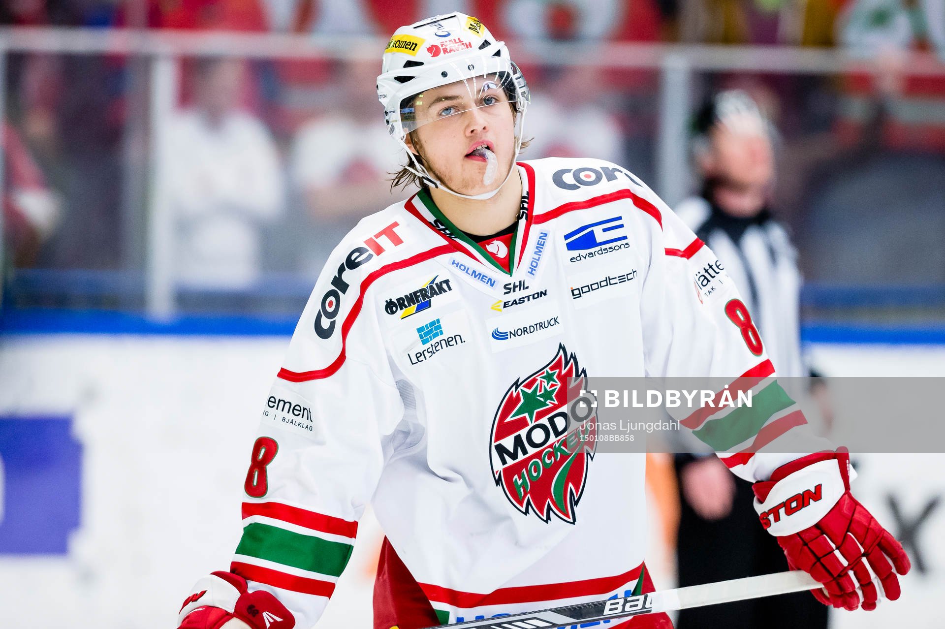 Modos William Nylander