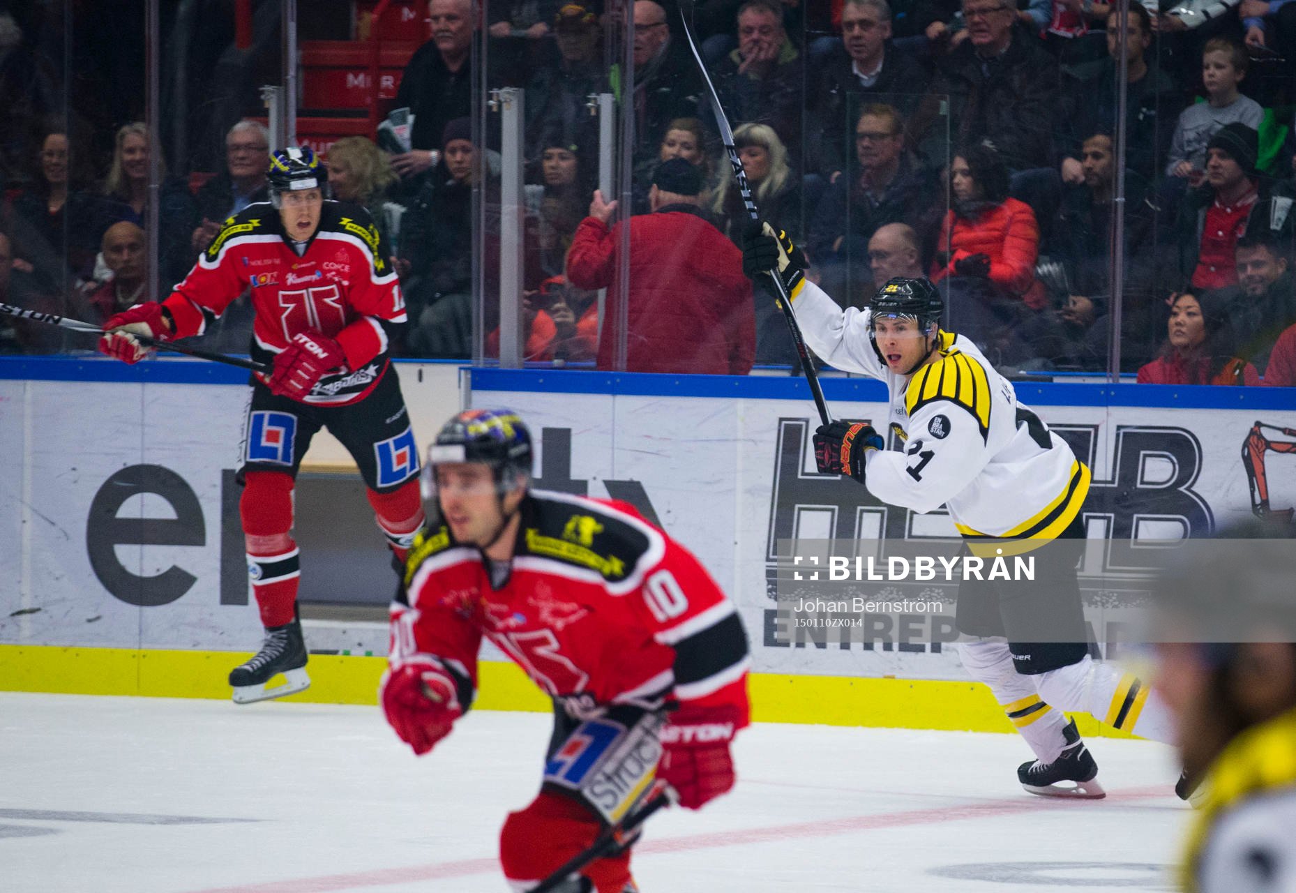 Brynäs Tim Wallace