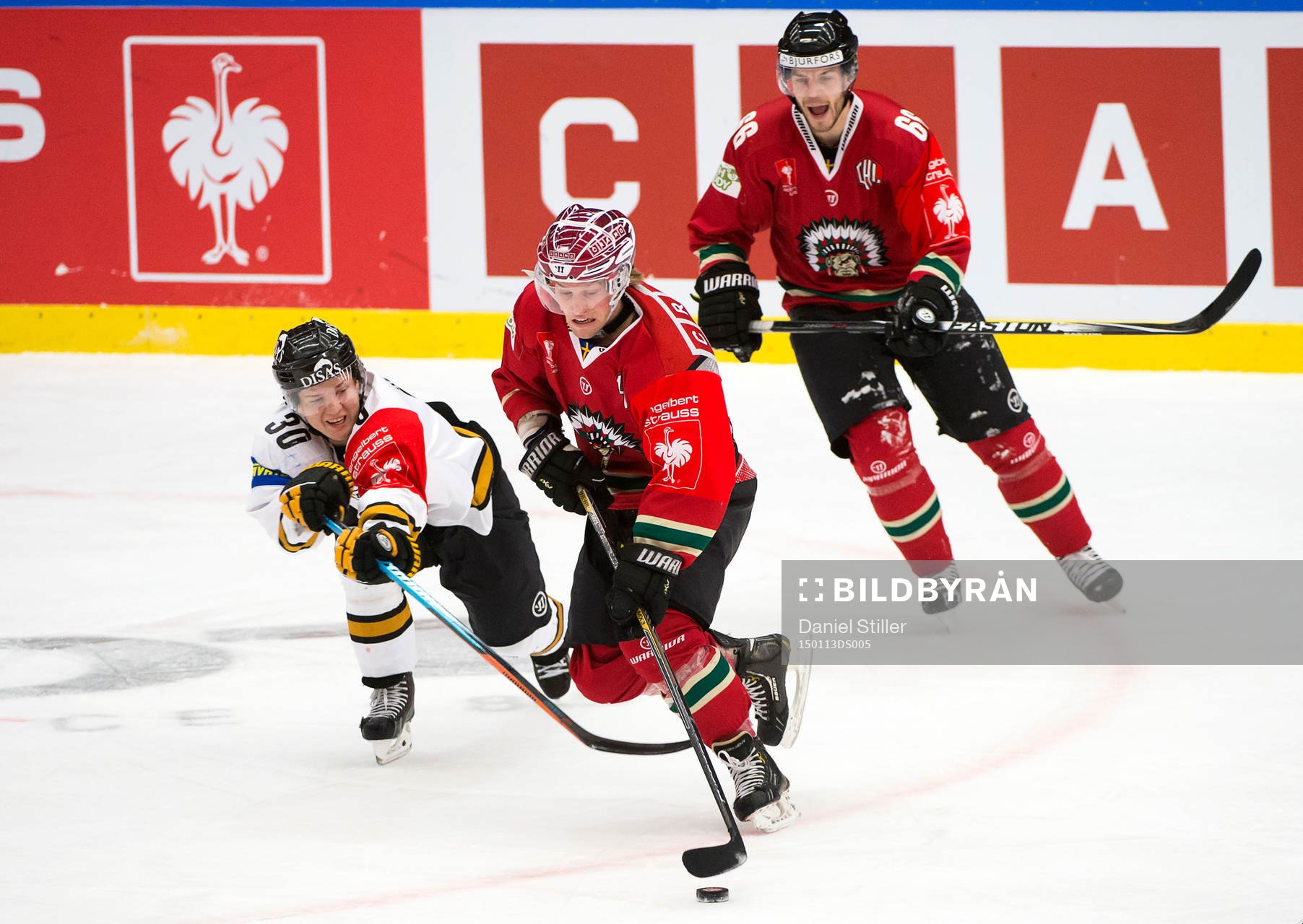 Kärpäts Joonas Komulainen