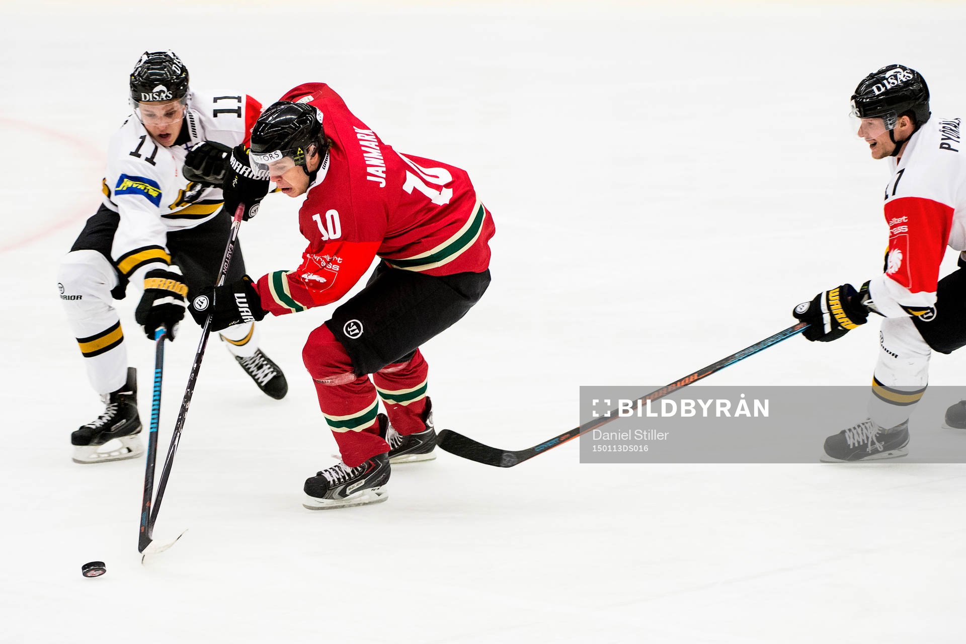 Kärpäts Markus Nutivaara