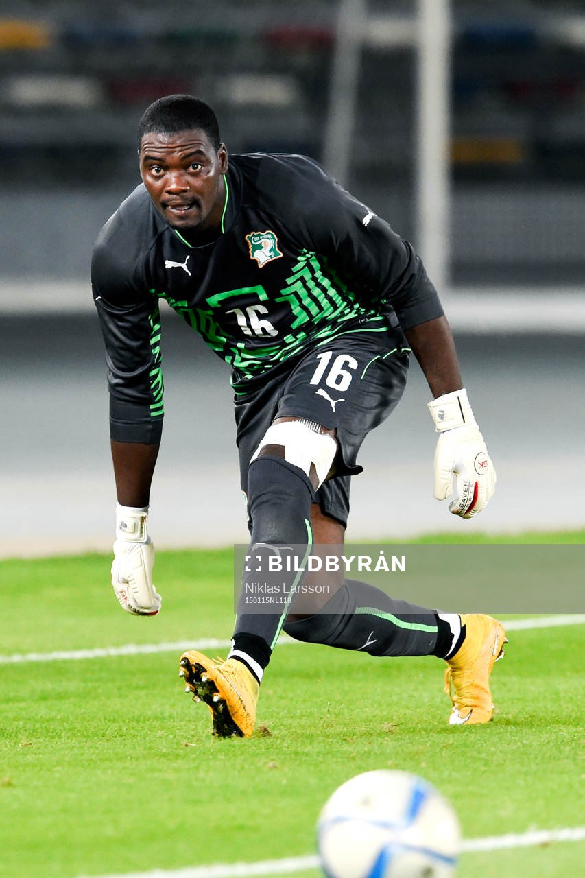 Elfenbenskustens målvakt Sylvain Gbohouo