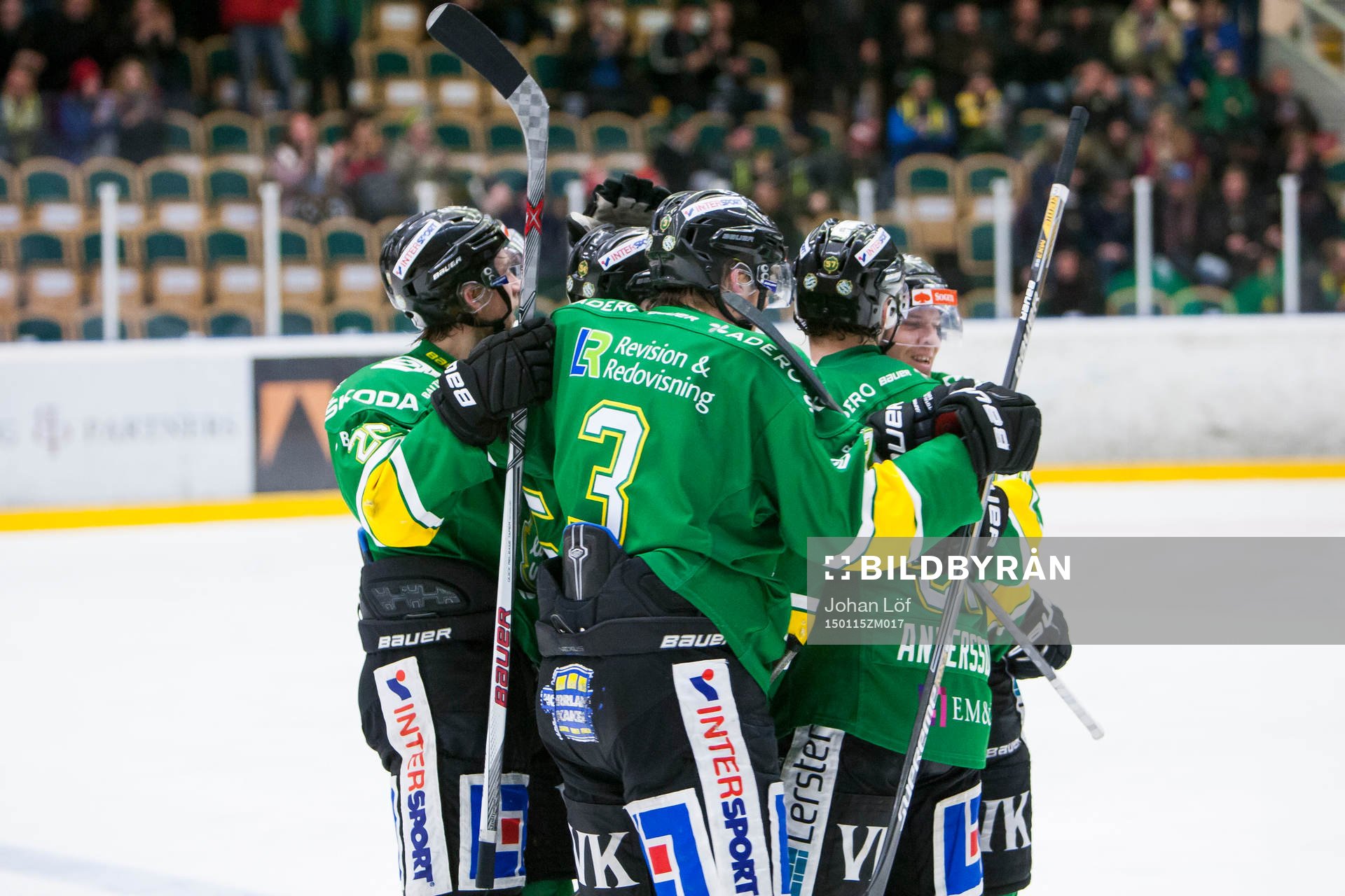 Björklöven jublar