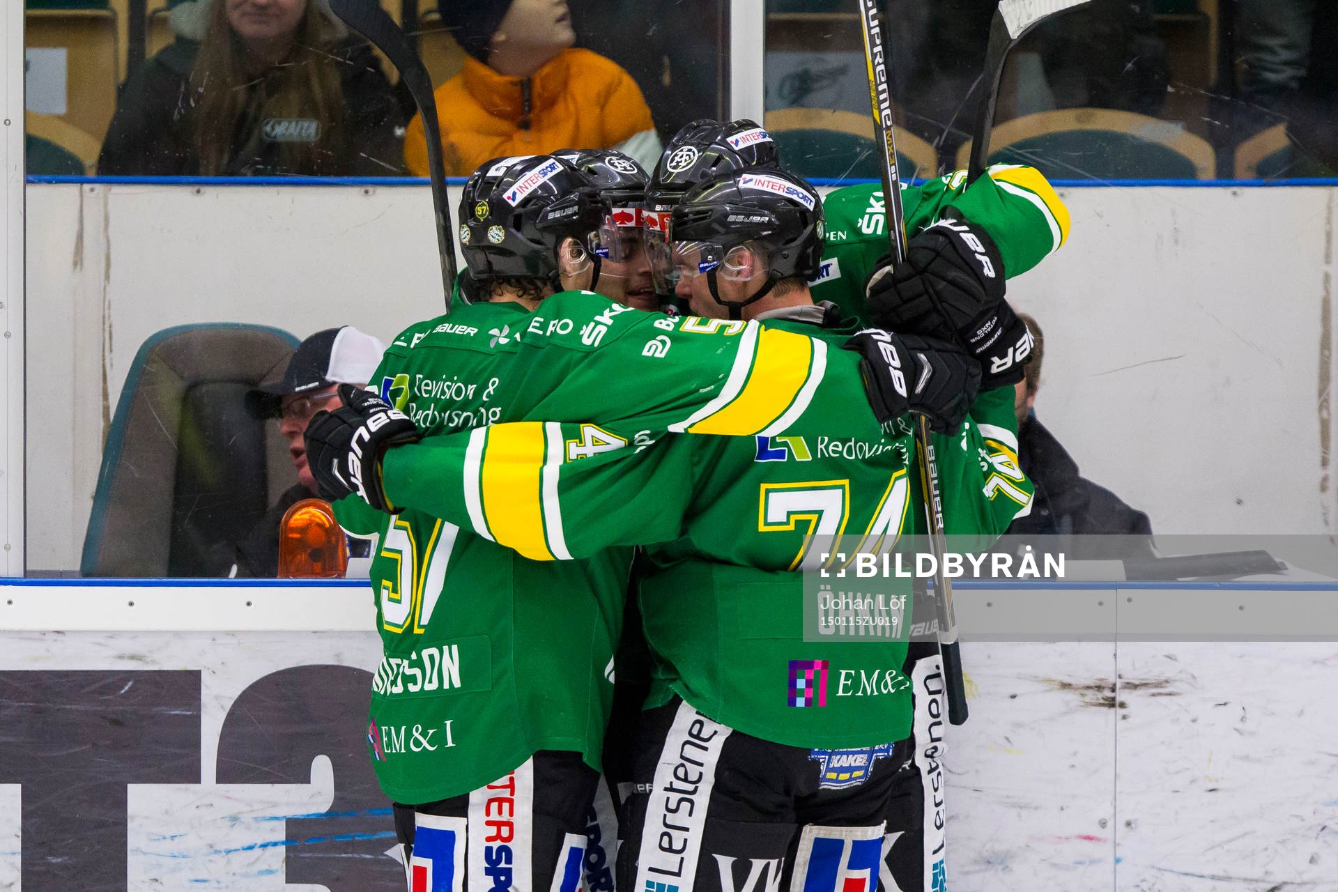 Björklöven jublar
