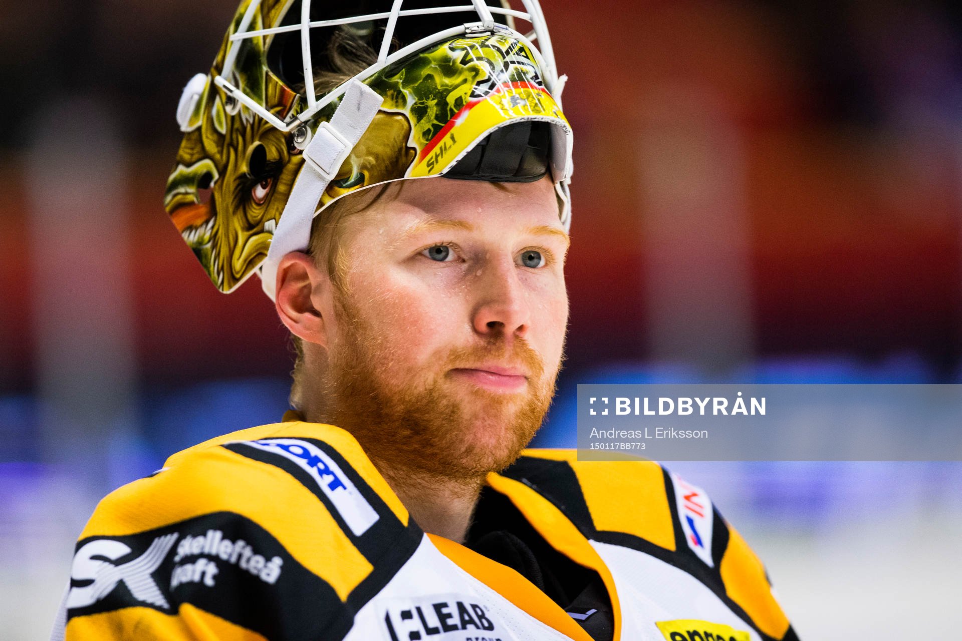 Skellefteås målvakt Erik Hanses