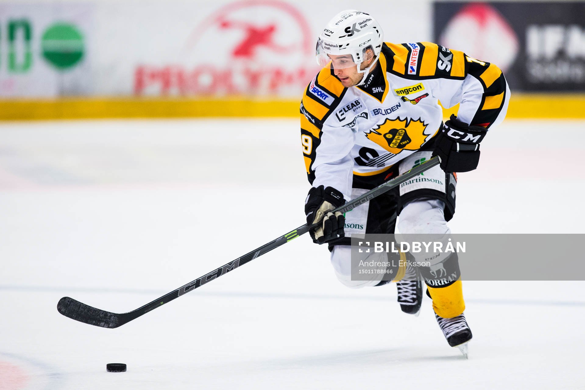 Skellefteås Andrew Calof med pucken