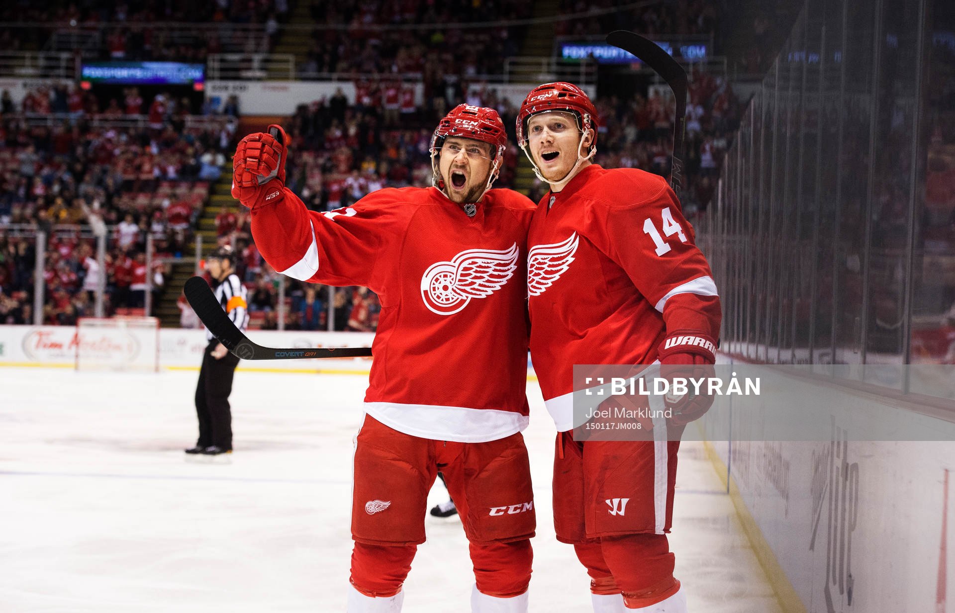 Detroits Tomas Tatar och Gustav Nyquist jublar