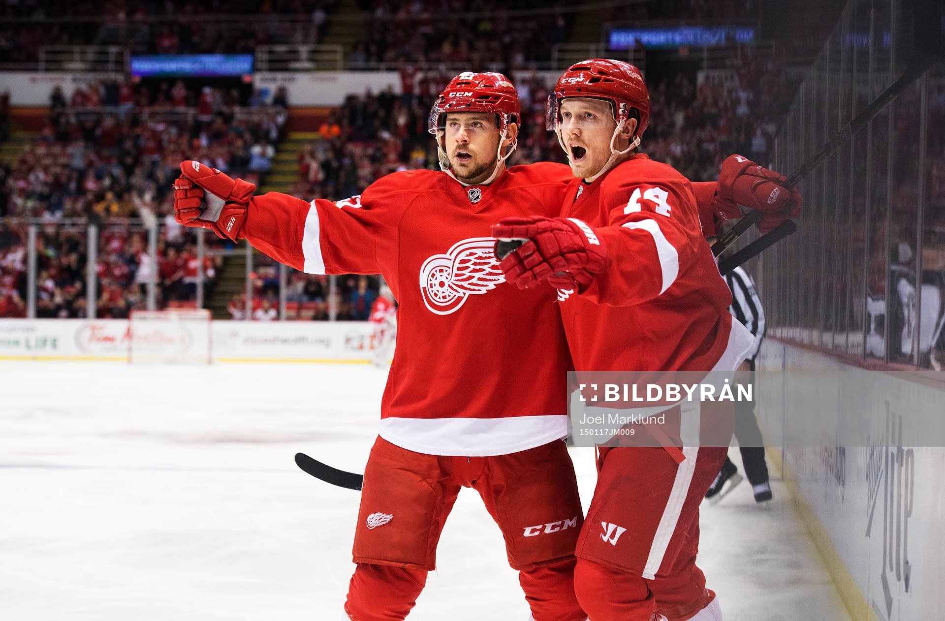 Detroits Tomas Tatar och Gustav Nyquist jublar