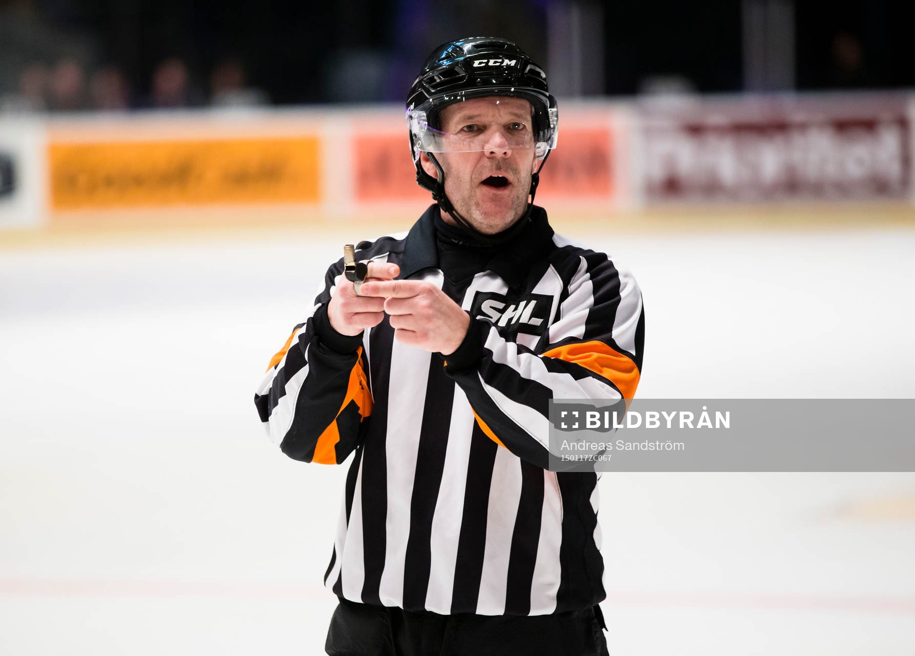Domare Thomas Andersson
