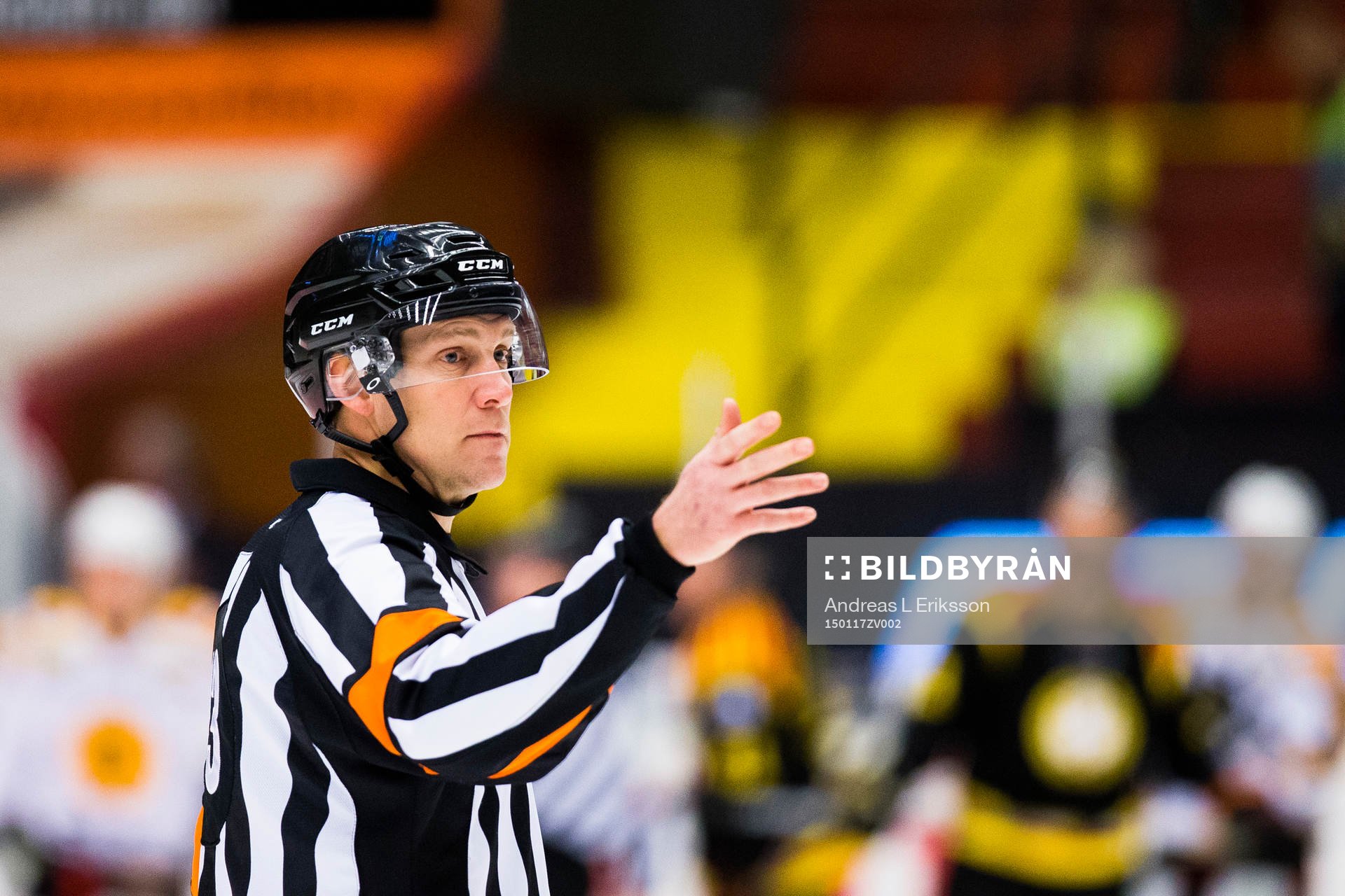 Domare Morgan Johansson