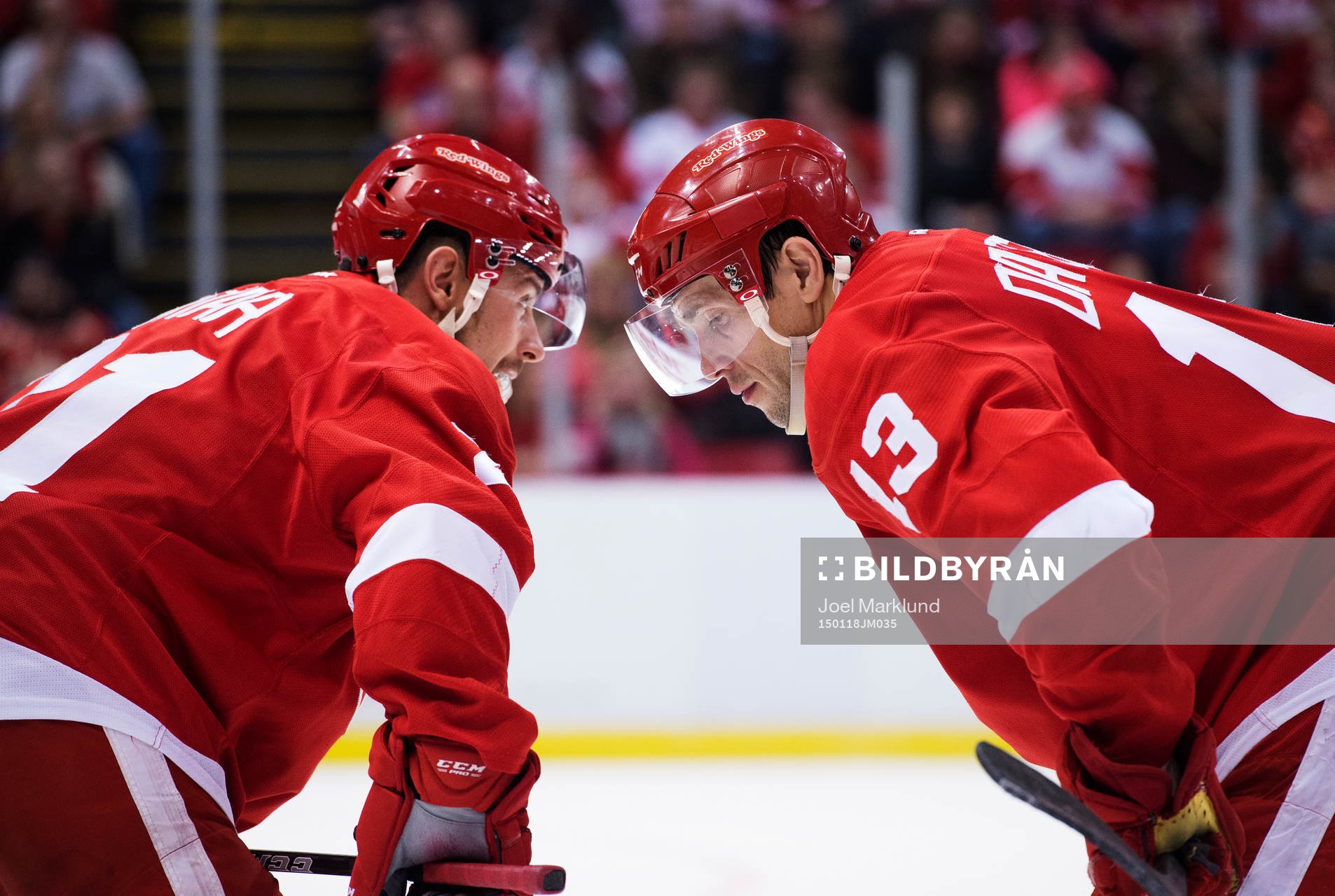 Detroits Tomas Tatar och Pavel Datsyuk