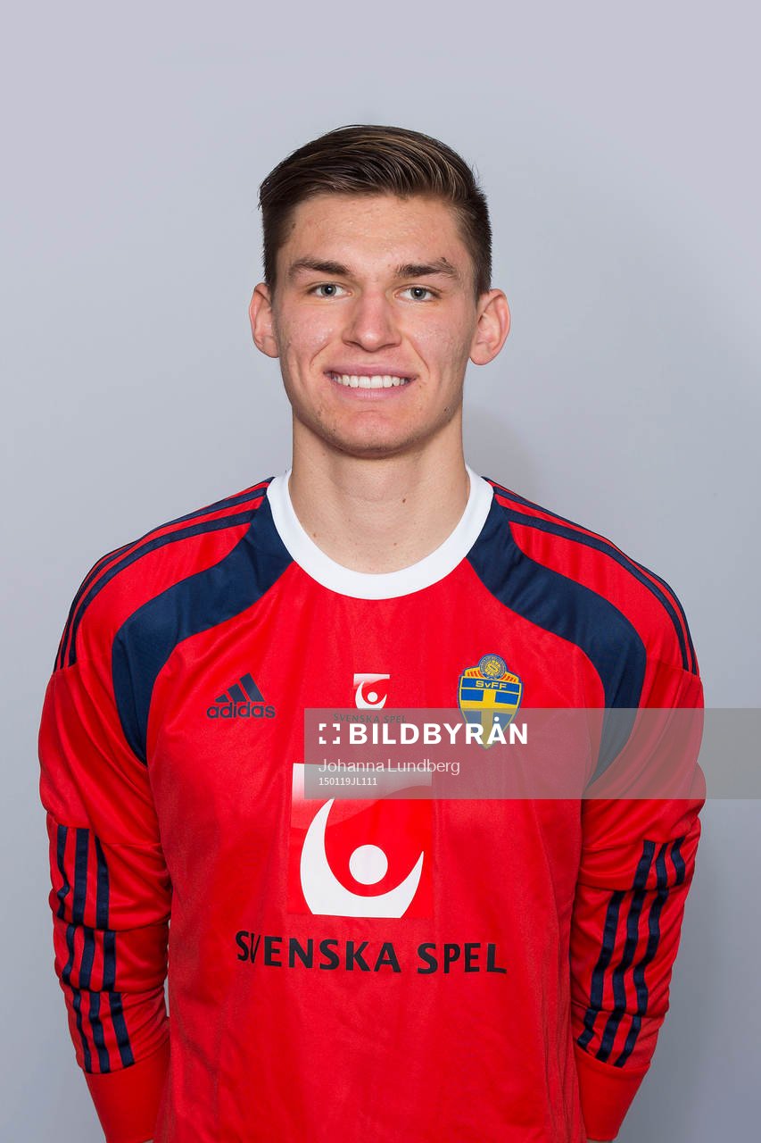 Hampus Strömgren, Sverige