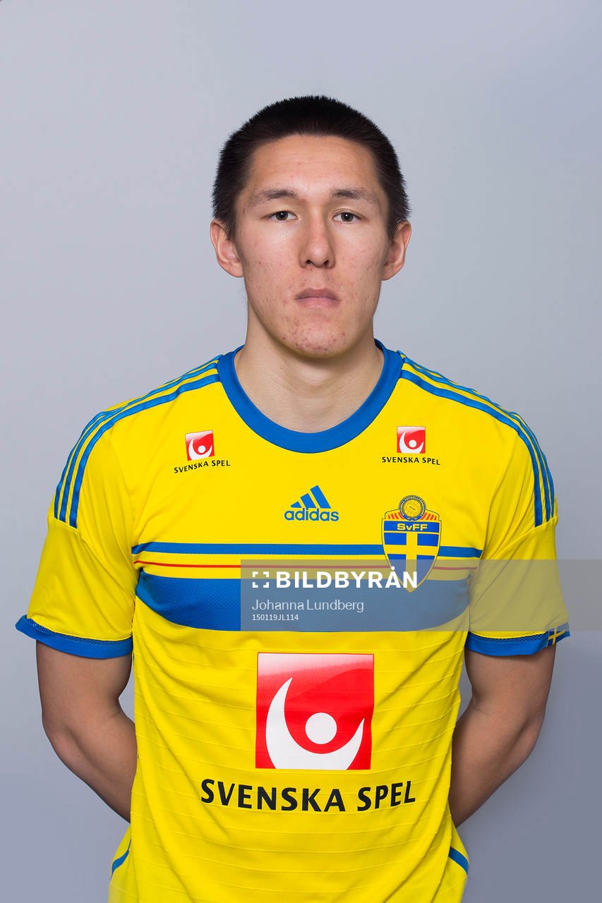 Johan Ramhorn, Sverige