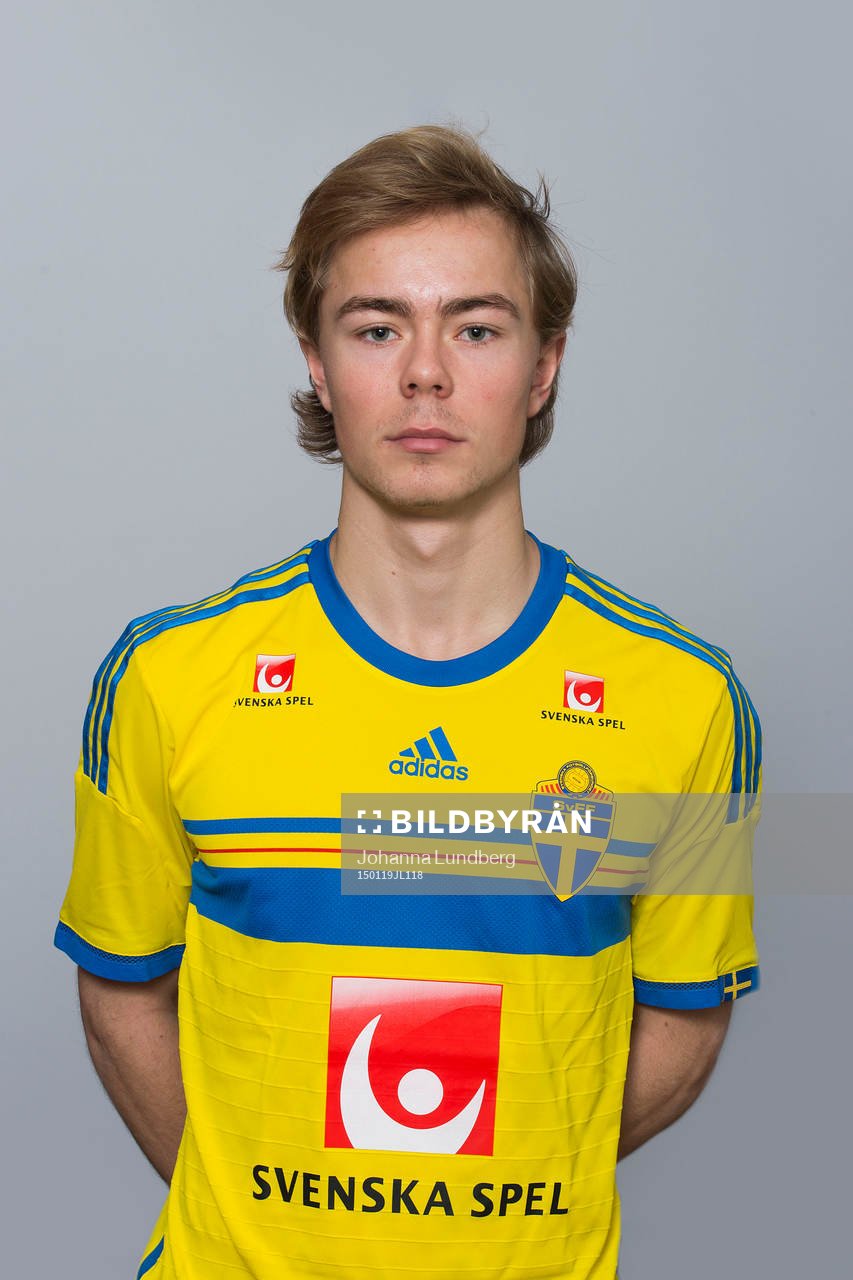 Adam Andersson, Sverige